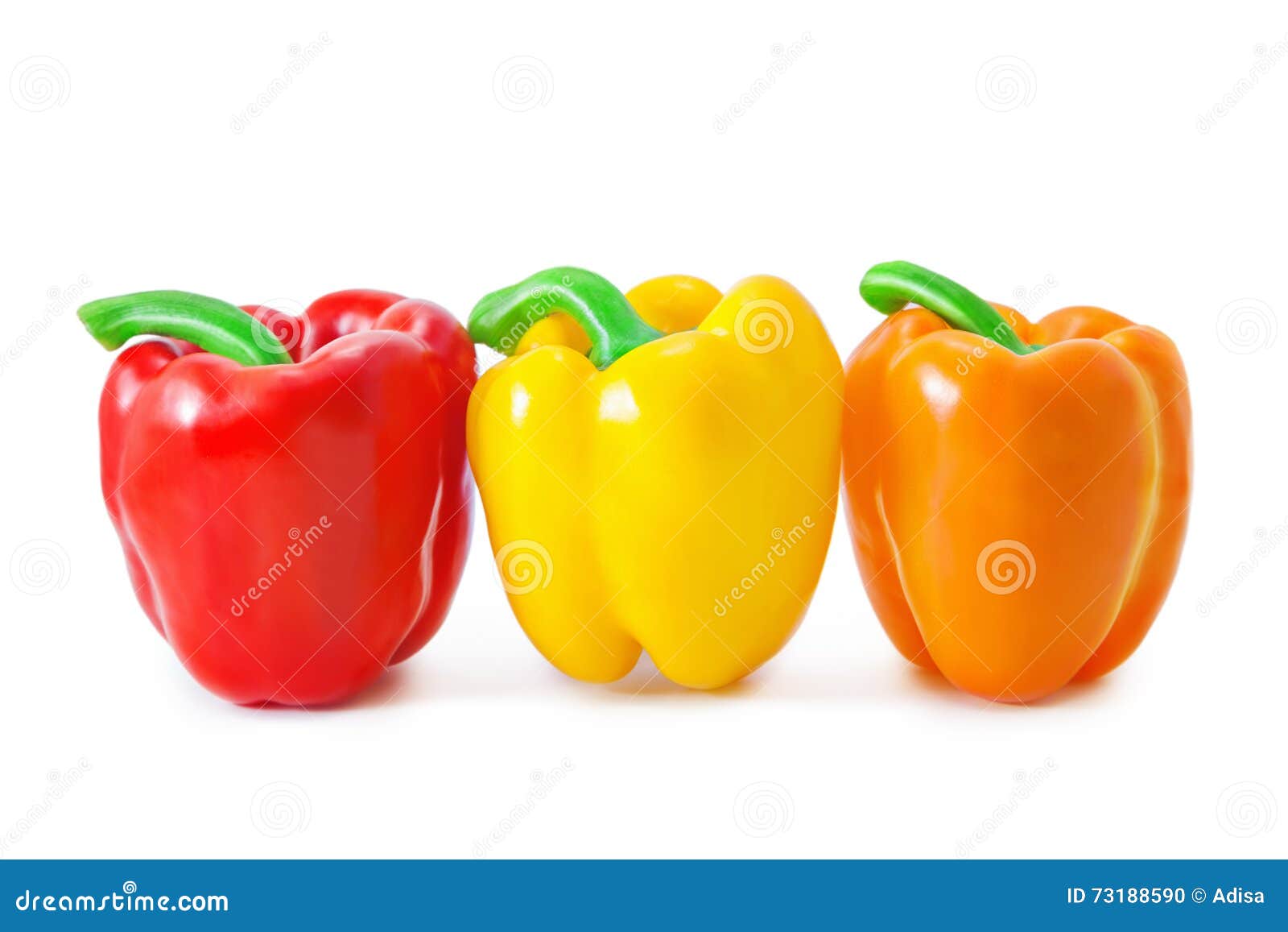 Kit Etichette Auricolari Per Bestiame - 300 Pezzi Con Applicatore Per Pecore, Capre, Maiali - Foto 9