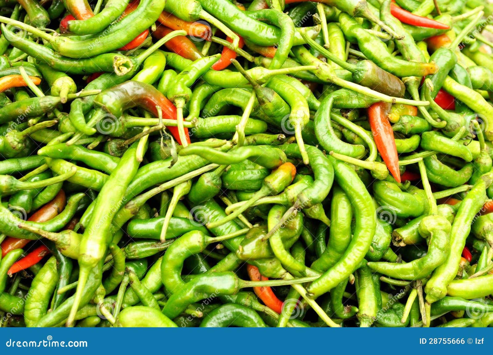 Pepper market stock photo. Image of spcie, background 28755666
