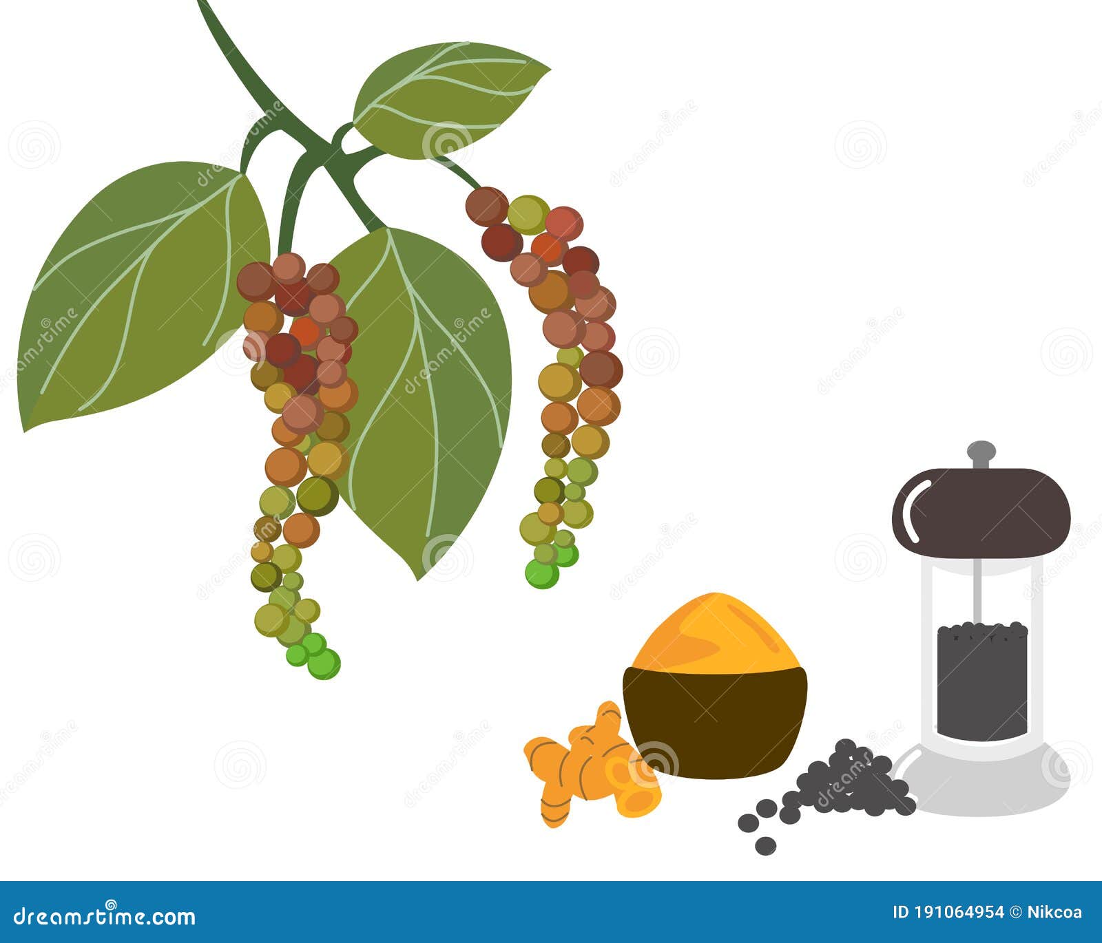 Black Pepper and Tumeric Powder Stock Vector Illustration of drawing