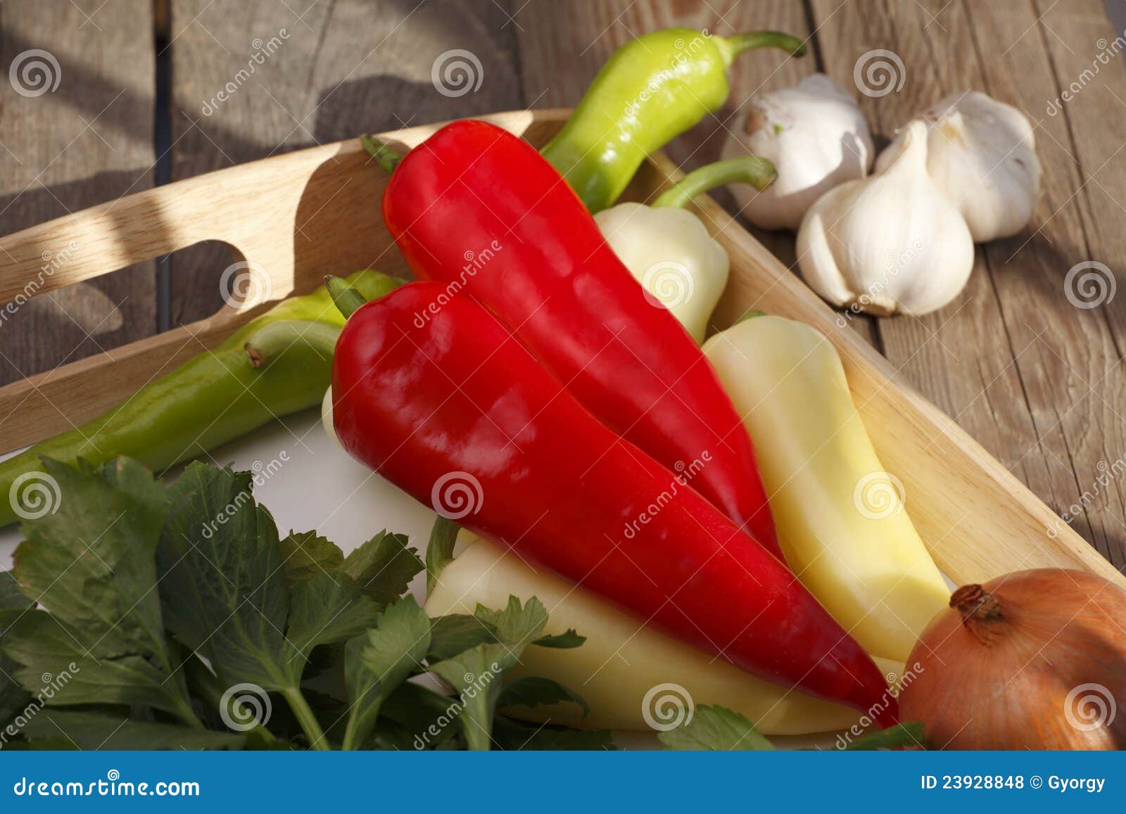 Pepper and paprika stock photo. Image of multi, food 23928848