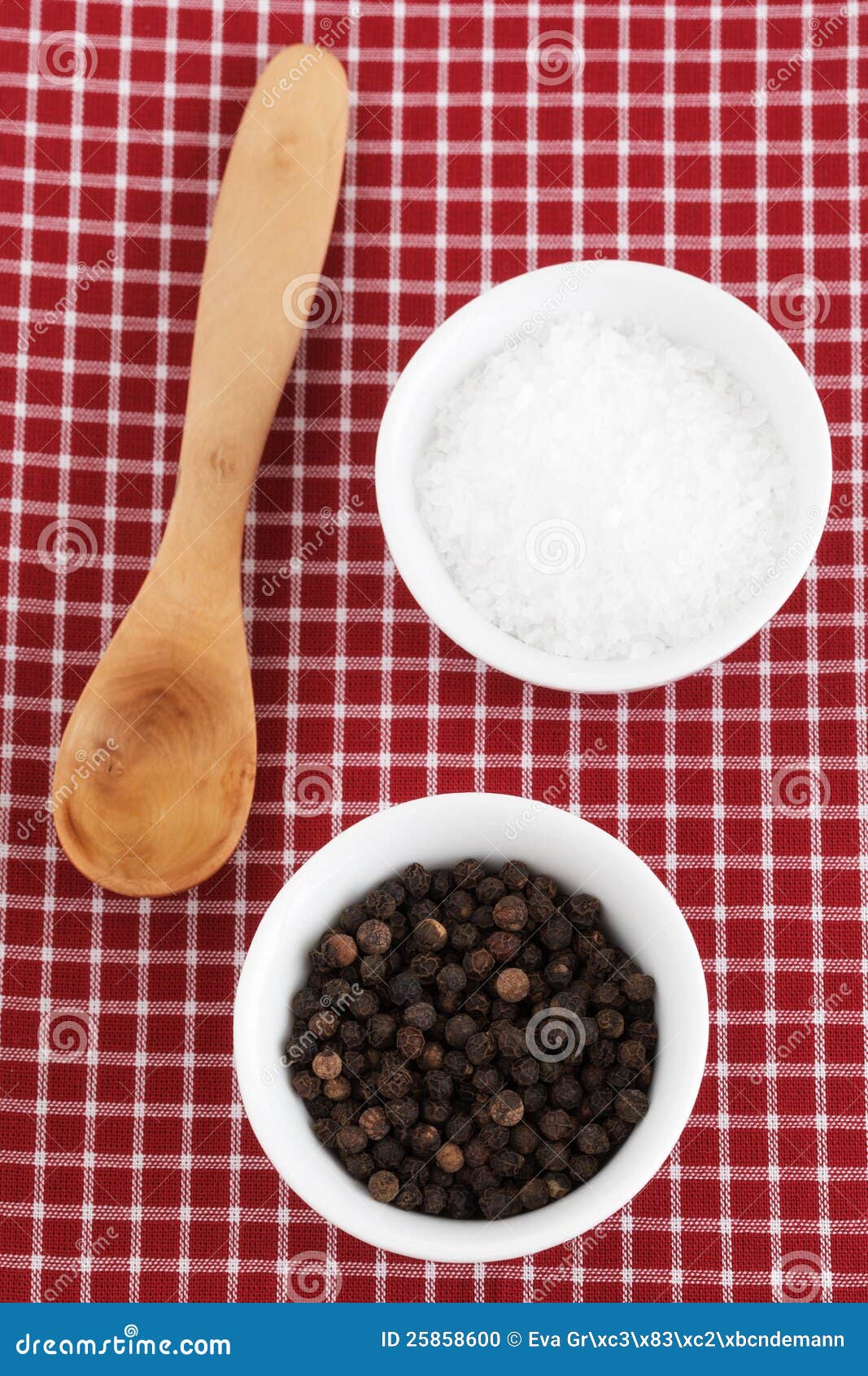 Pepper and Salt stock photo. Image of wooden, flavoring 25858600