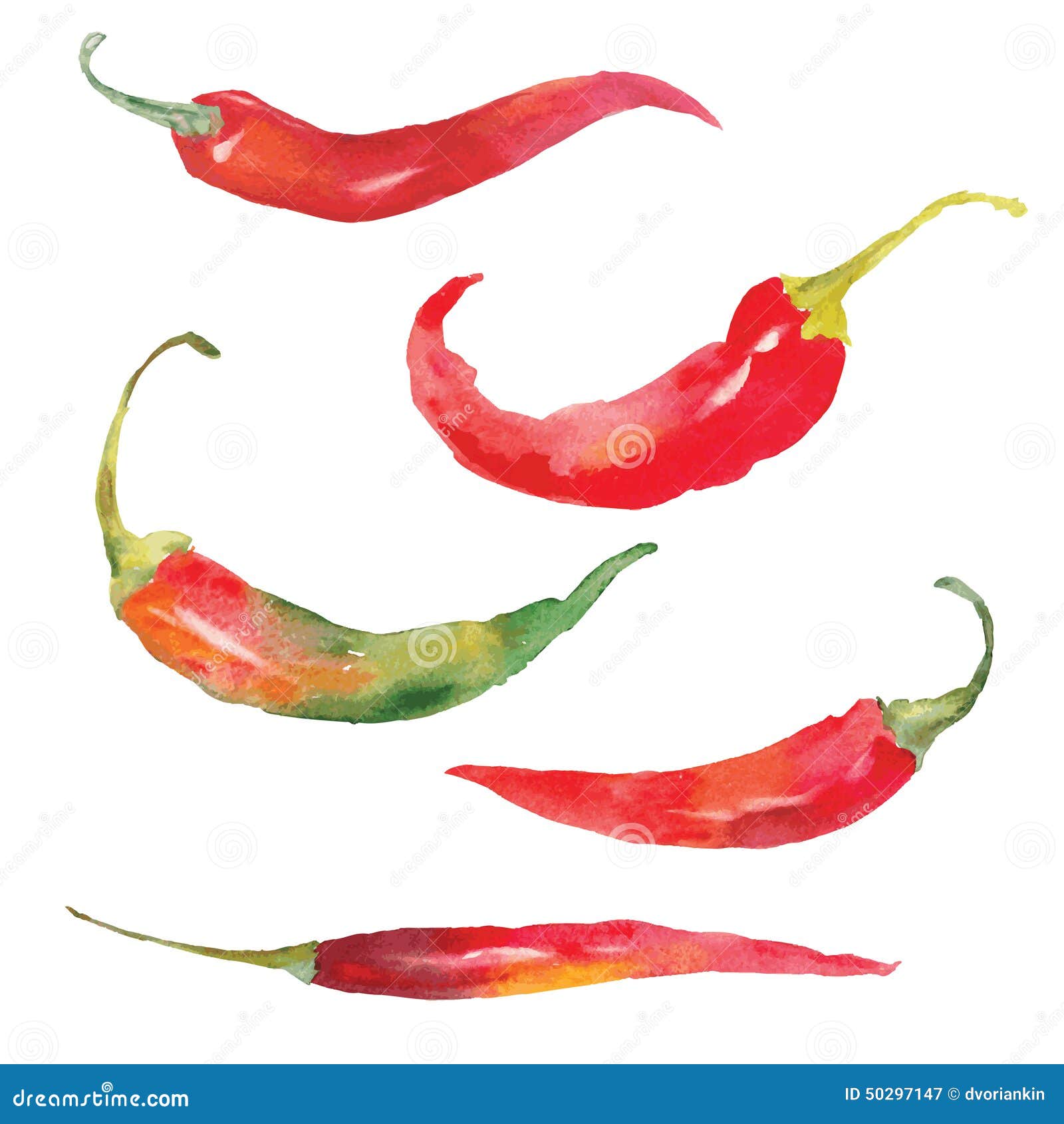 Pepper stock vector. Illustration of ingredient, isolated - 50297147