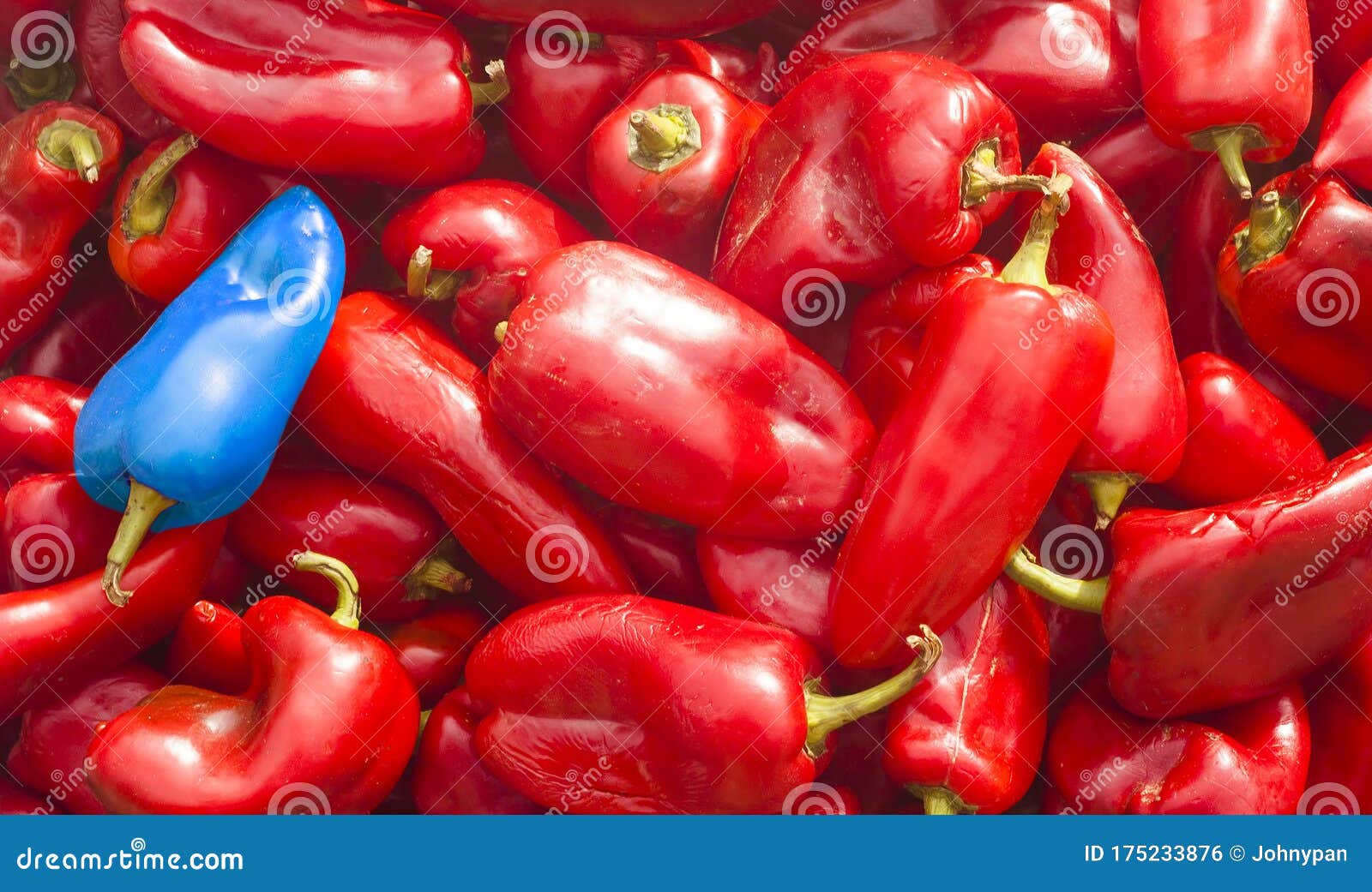 Pepper Vegetable with Blue Modified Plant Stock Photo Image