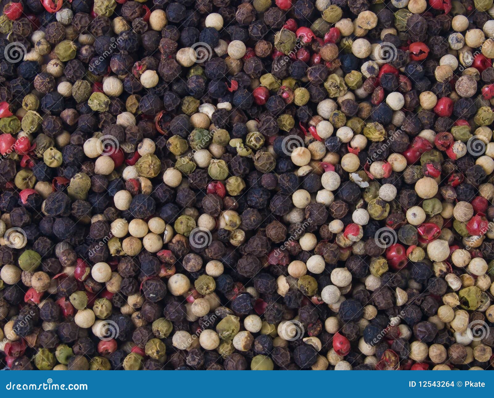 Peppercorns stock photo. Image of grain, corns, condiment 12543264