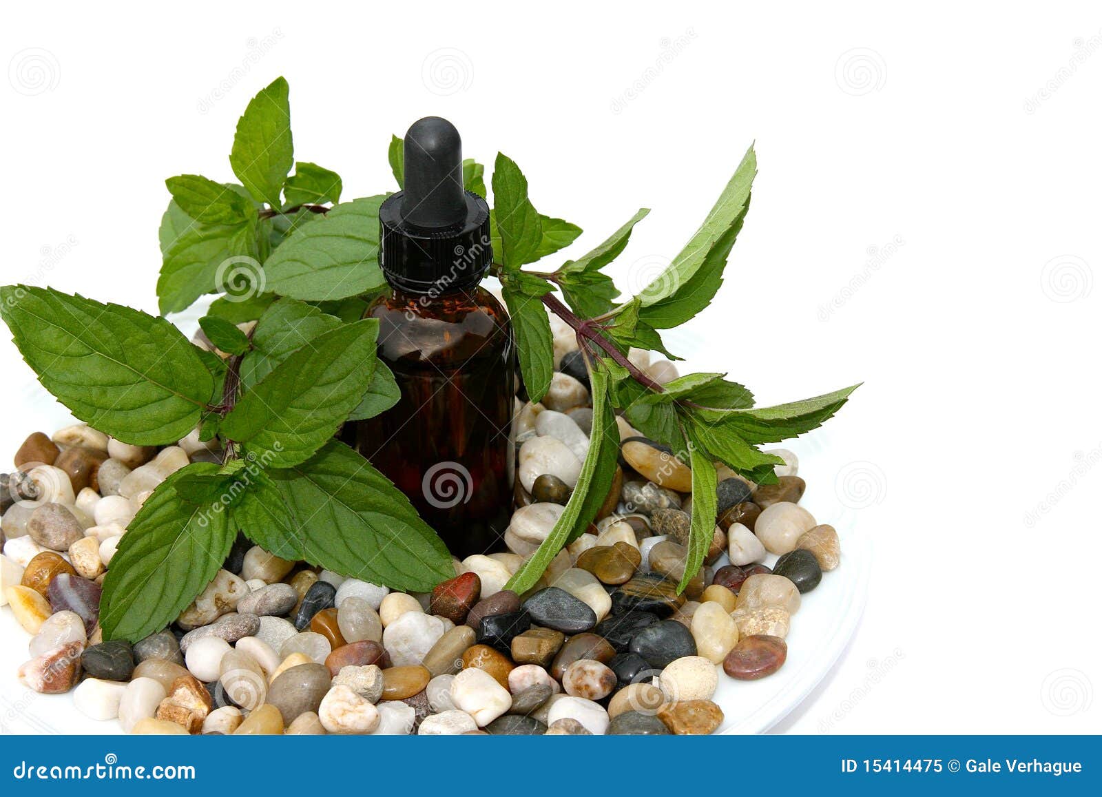 Peppermint Aromatherapy stock image. Image of concept 15414475