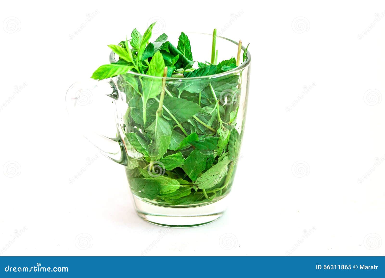 Peppermint stock image. Image of herbal, ingredient, gourmet 66311865