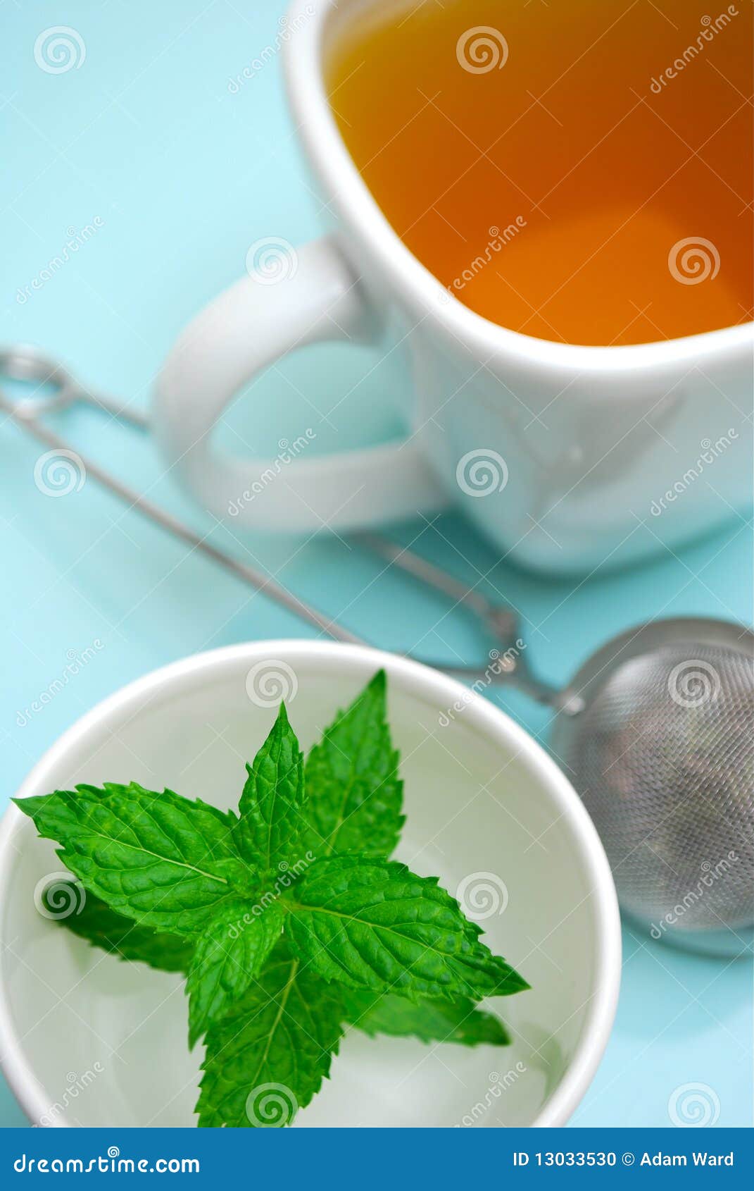 Peppermint herbal tea stock photo. Image of liquid, herbal 13033530