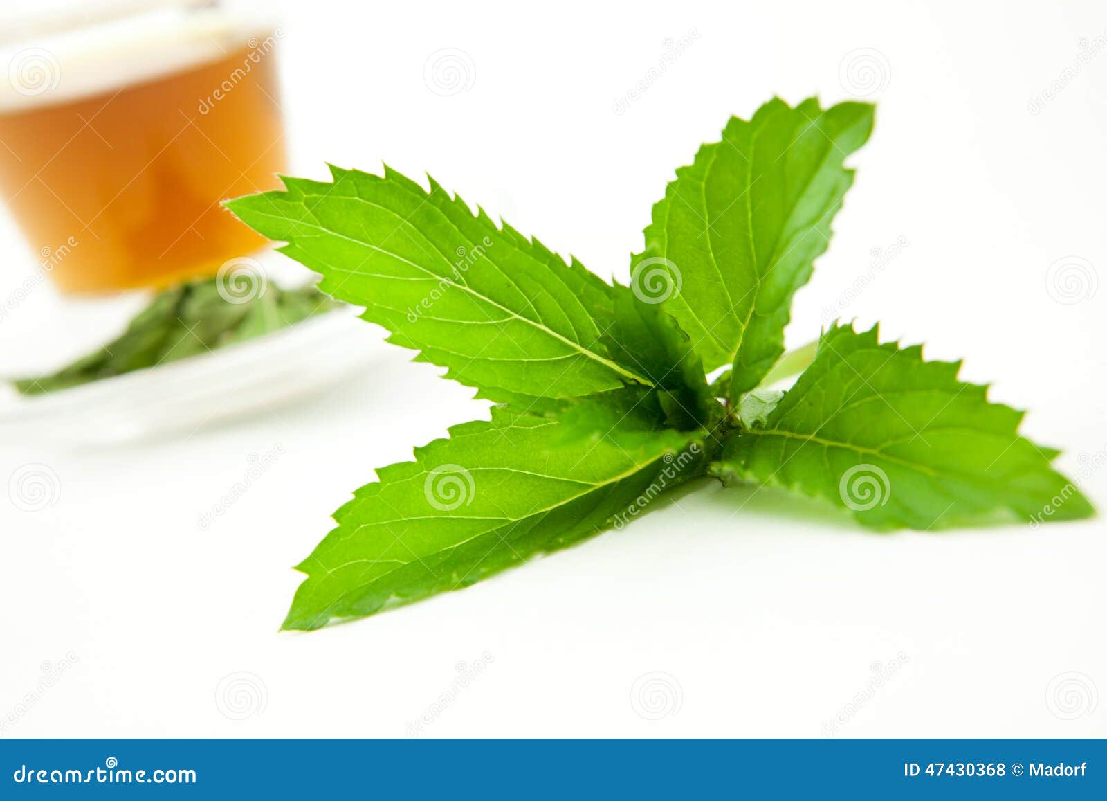 Peppermint Leaf with Herbal Tea Stock Photo Image of organic