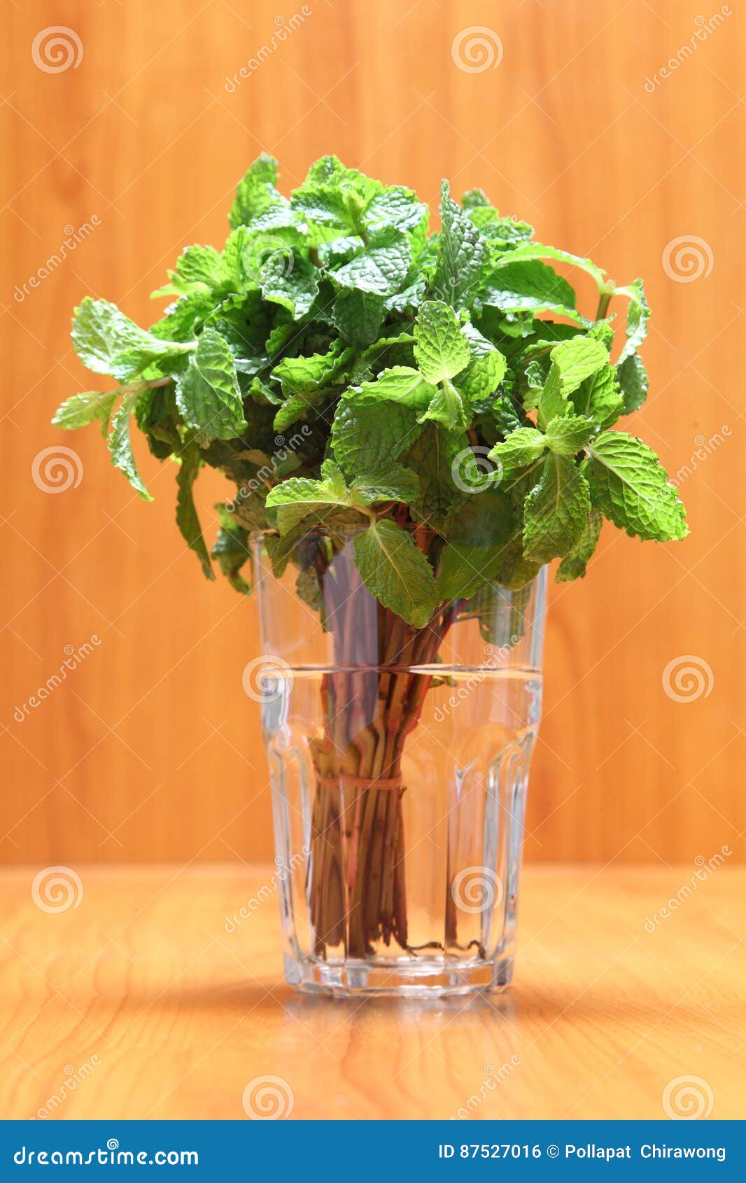 Peppermint Leaves in the Glass Stock Photo Image of close, herbal 87527016
