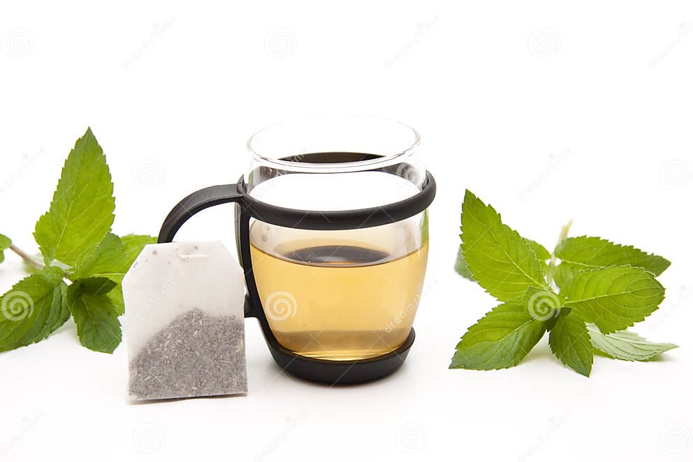 Peppermint with tea bag stock photo. Image of mint, stem 20518028