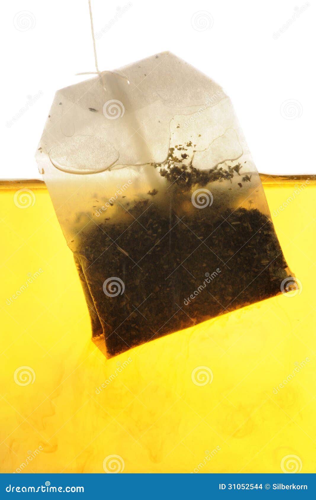 Peppermint Tea Bag Hanging into Water Stock Photo Image of drink