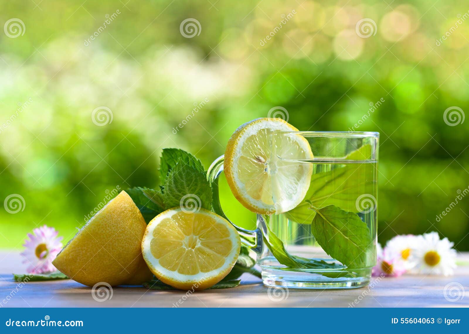 Peppermint tea with lemon stock image. Image of citrus 55604063