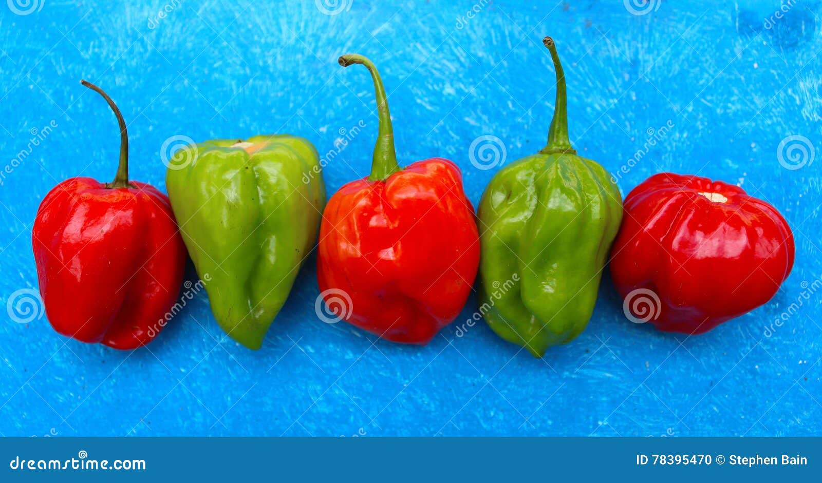 Peppers on Blue stock photo. Image of colorful, peppers 78395470