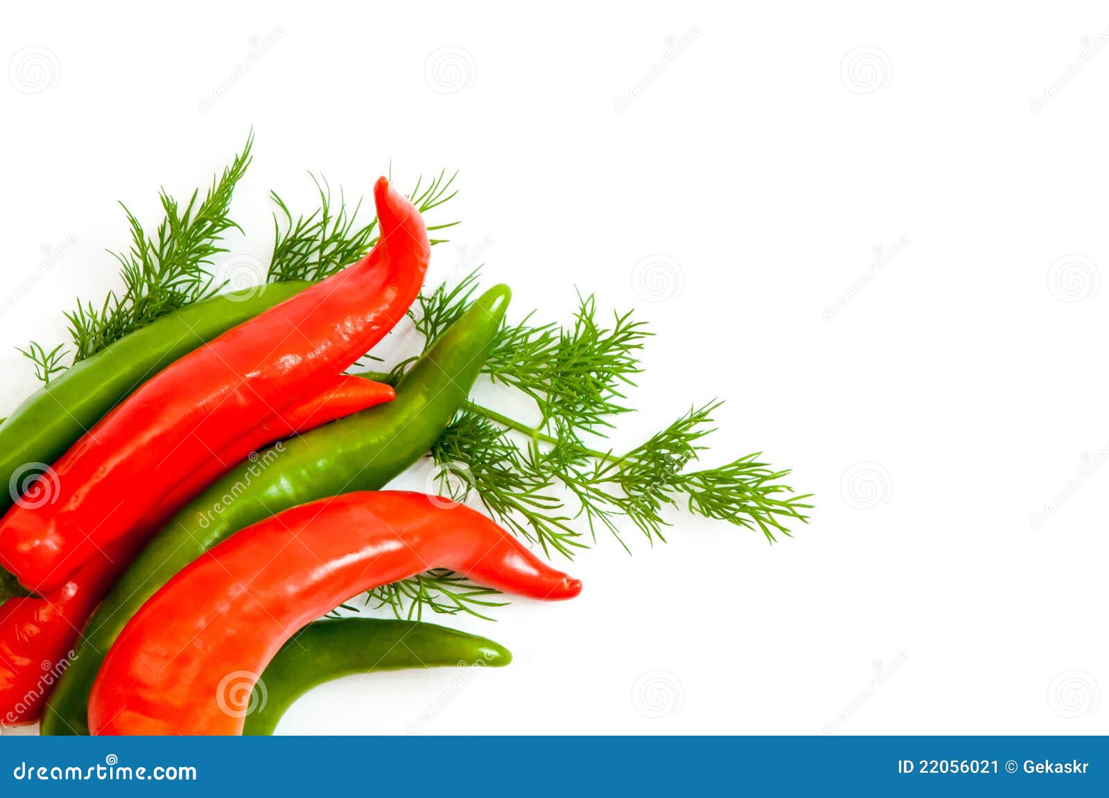Peppers and dill stock image. Image of healthy, eating 22056021