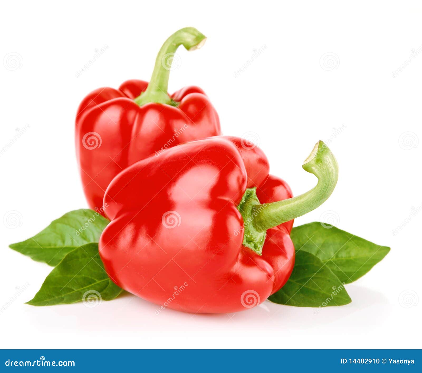 Peppers Fruit with Green Leaves Stock Photo Image of still, white