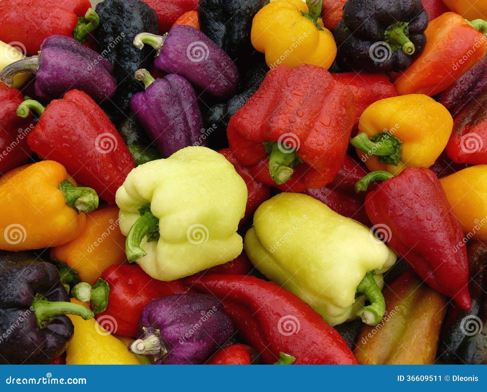 Peppers harvest stock image. Image of pepper, natural 36609511