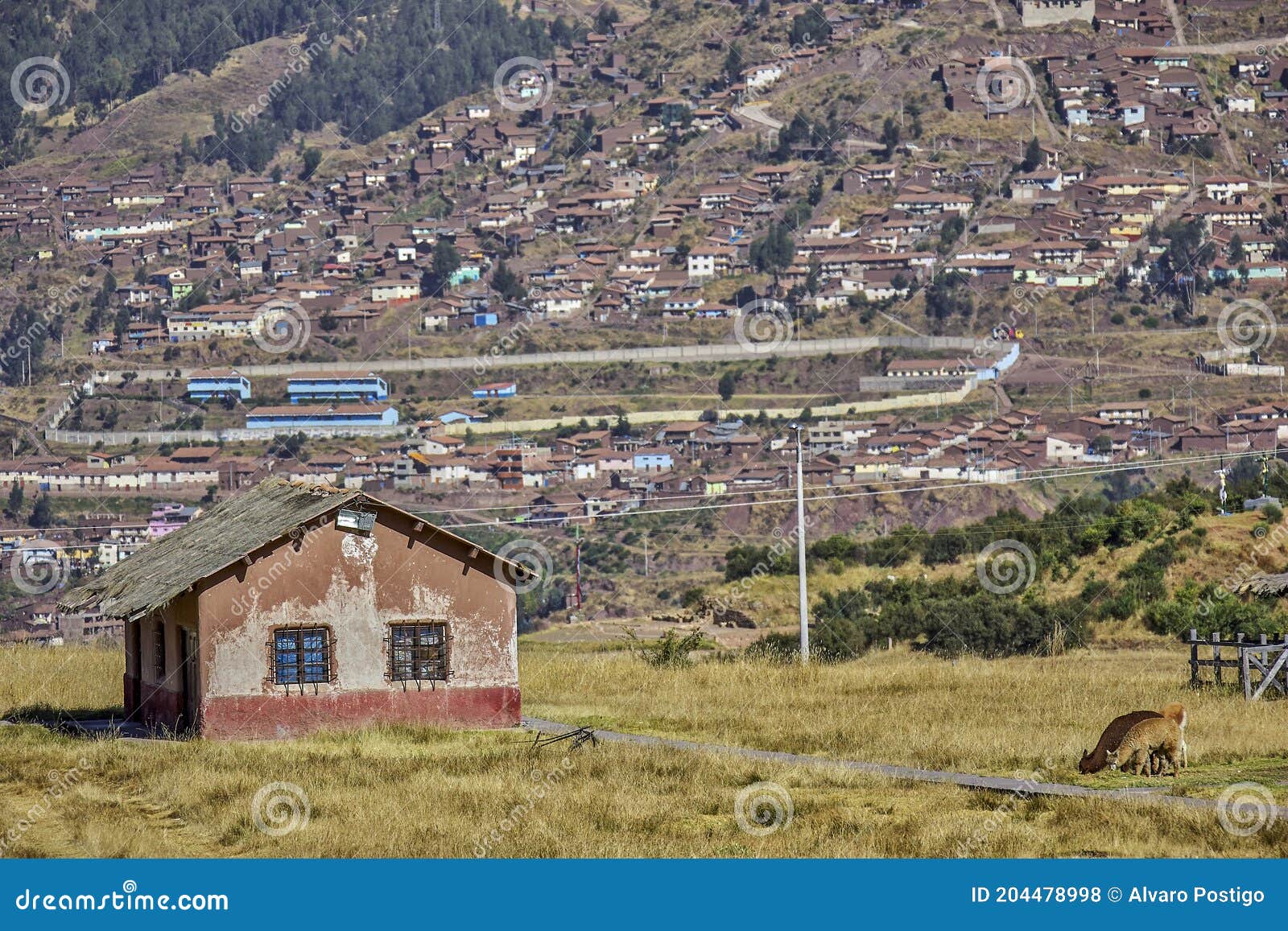 Pequeña Casa Con Animales Frente a Una Vista De Casas Humildes Foto de  archivo - Imagen de horizonte, vacaciones: 204478998