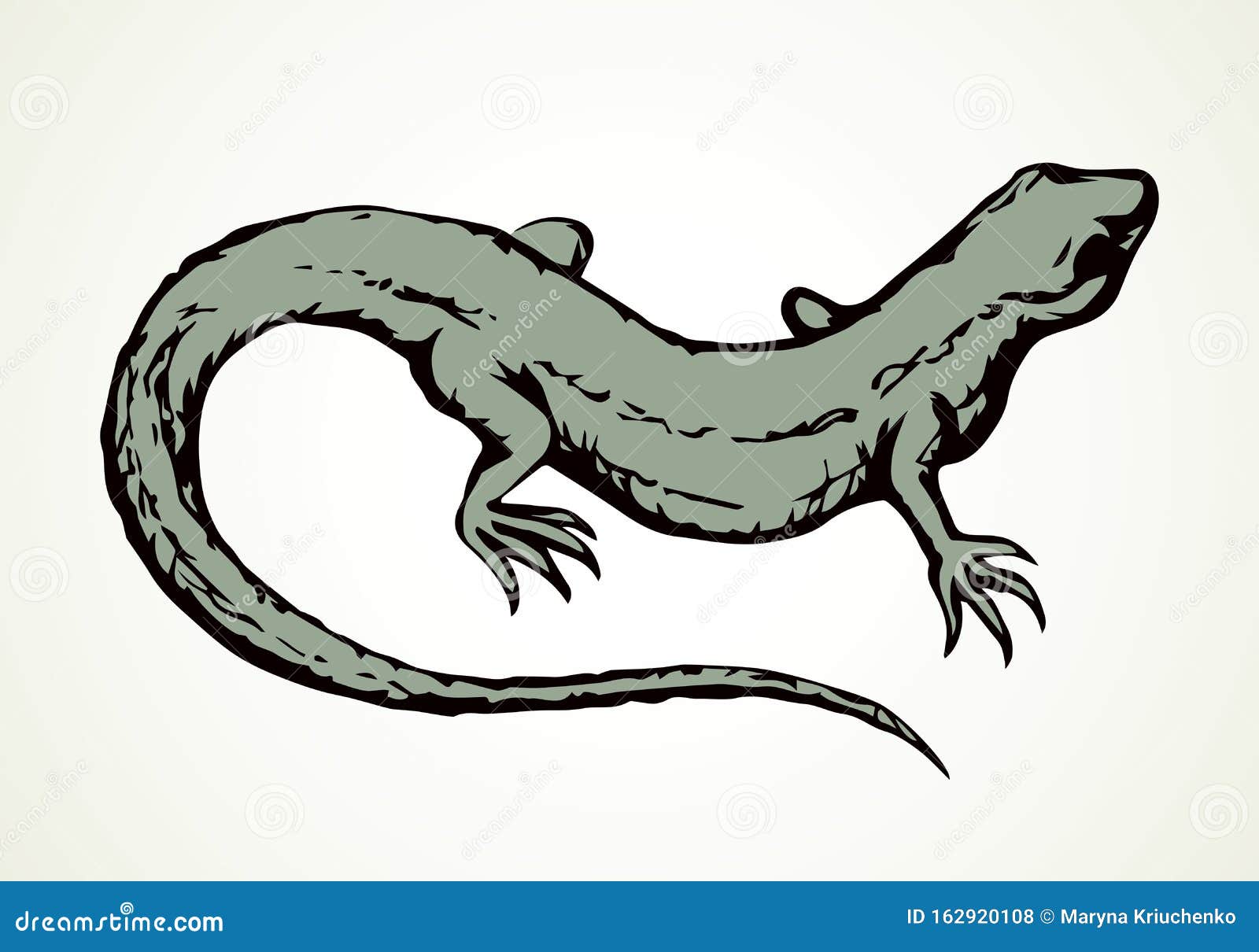 Pequeña Lagartija Icono De Dibujo Del Vector Ilustración del Vector -  Ilustración de lagarto, emblema: 162920108