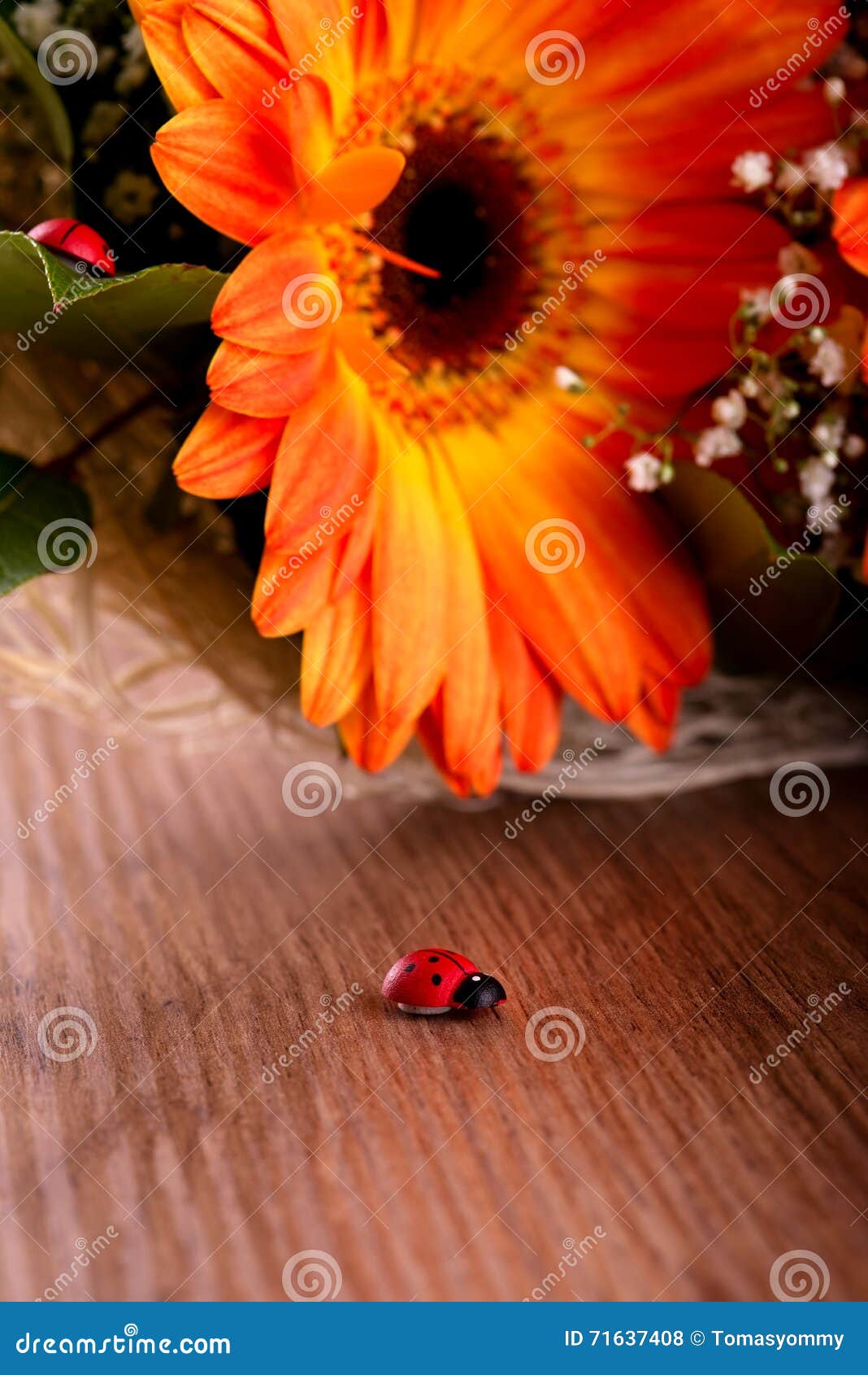 Pequeña Mariquita De Madera Delante Del Ramo De Gerberas Foto de archivo -  Imagen de pétalo, floral: 71637408