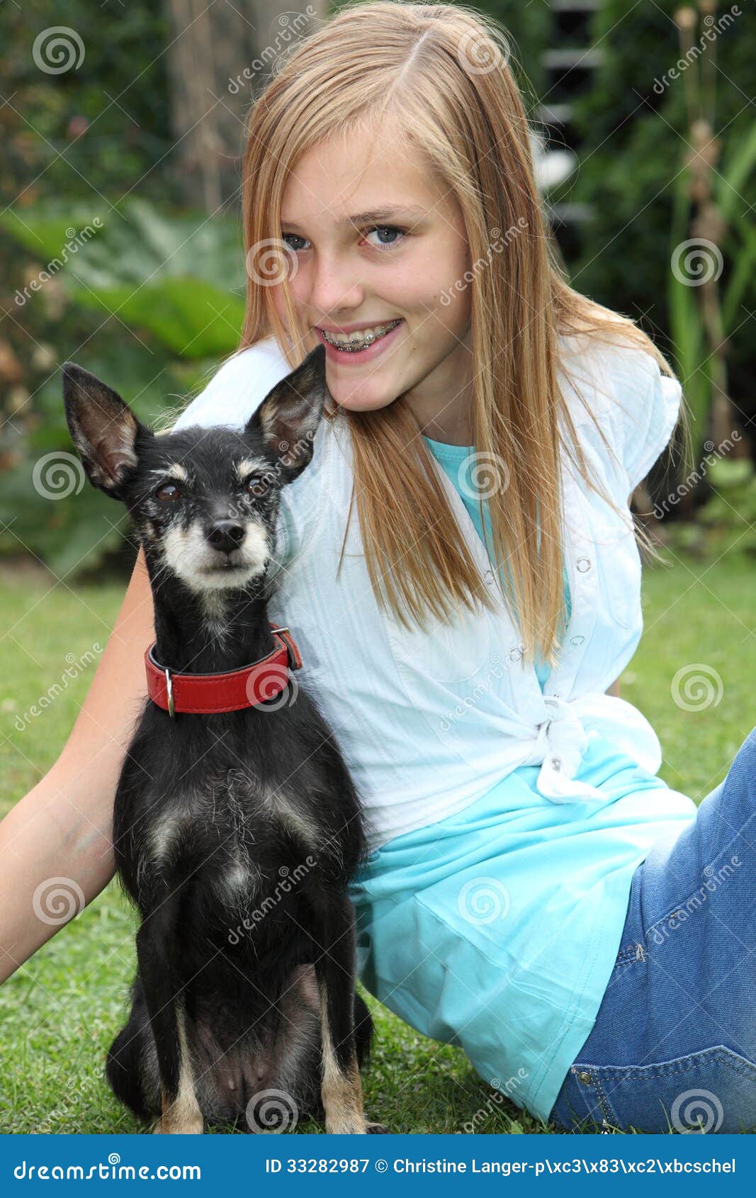 Pequeño Perro Orgulloso Del Pinscher Miniatura Imagen de archivo Imagen de alegre, muchacha