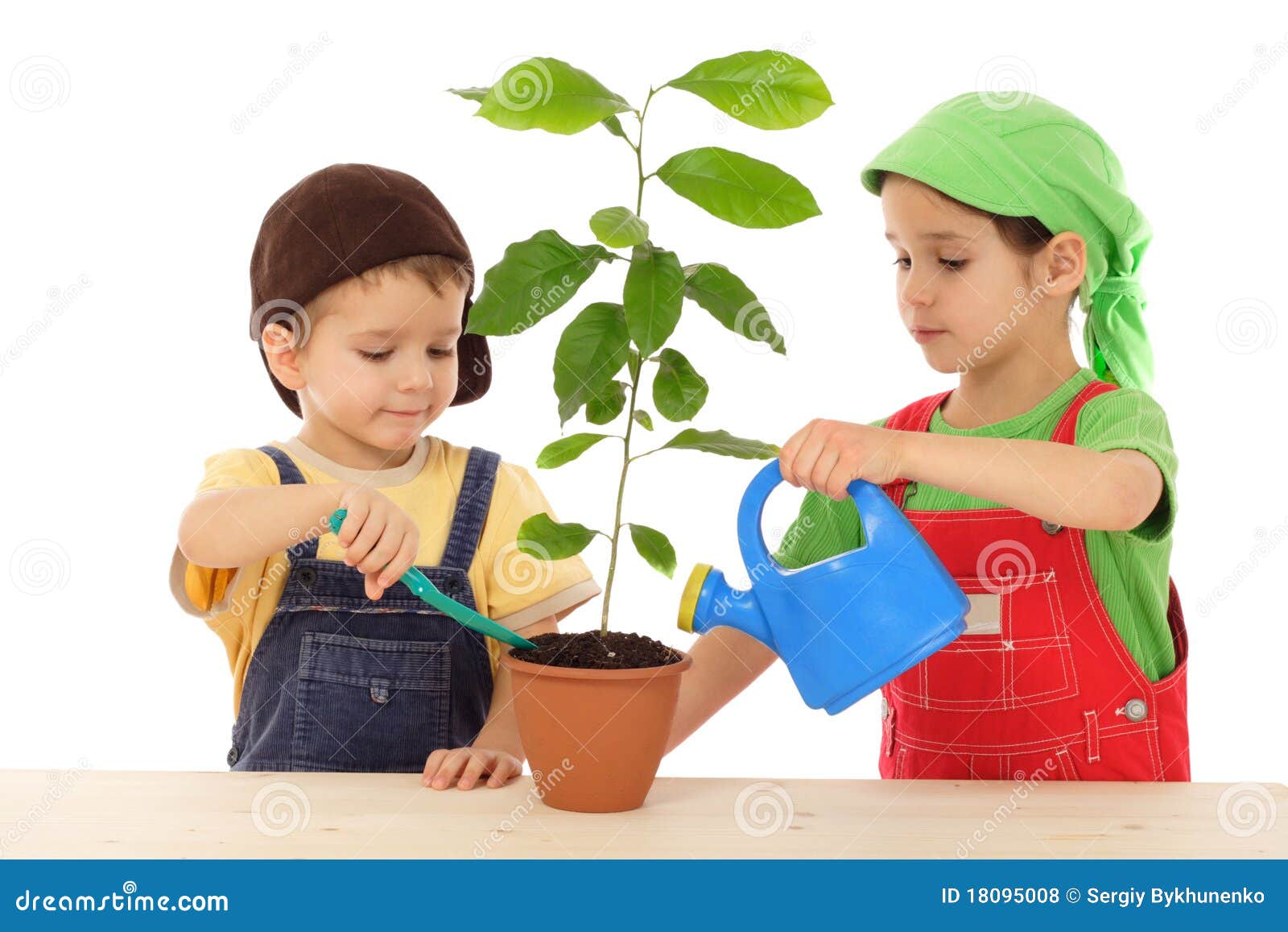 Pequeños Niños Que Cuidan Para La Planta Foto de archivo Imagen de