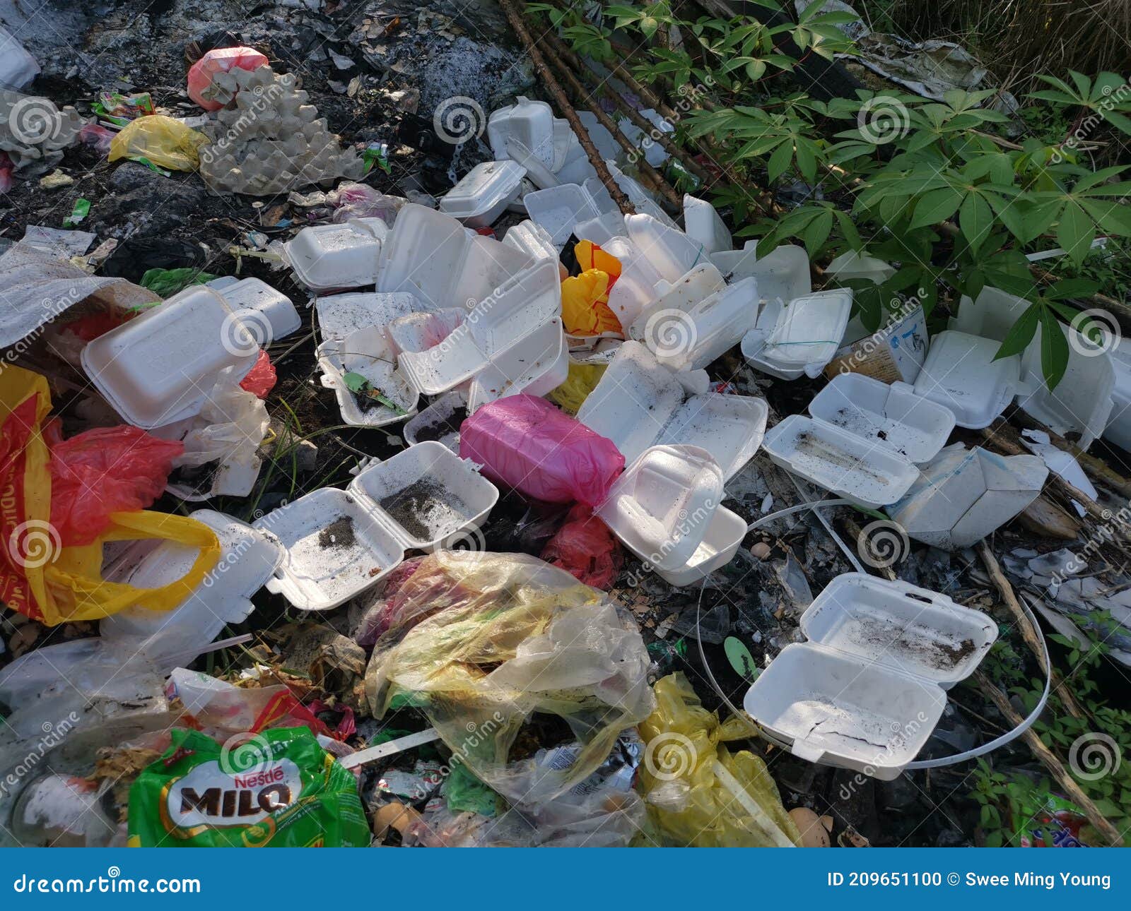 Environmental Pollution Where Irresponsible People Throw Assortment Of Garbage Dumps In The Isolated Field Along The Roadside Editorial Image Image Of Background Paper 209651100