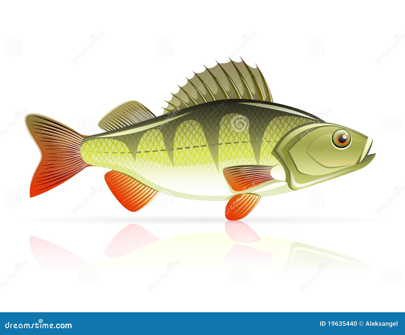 Perch Cartoon Vector 82563349