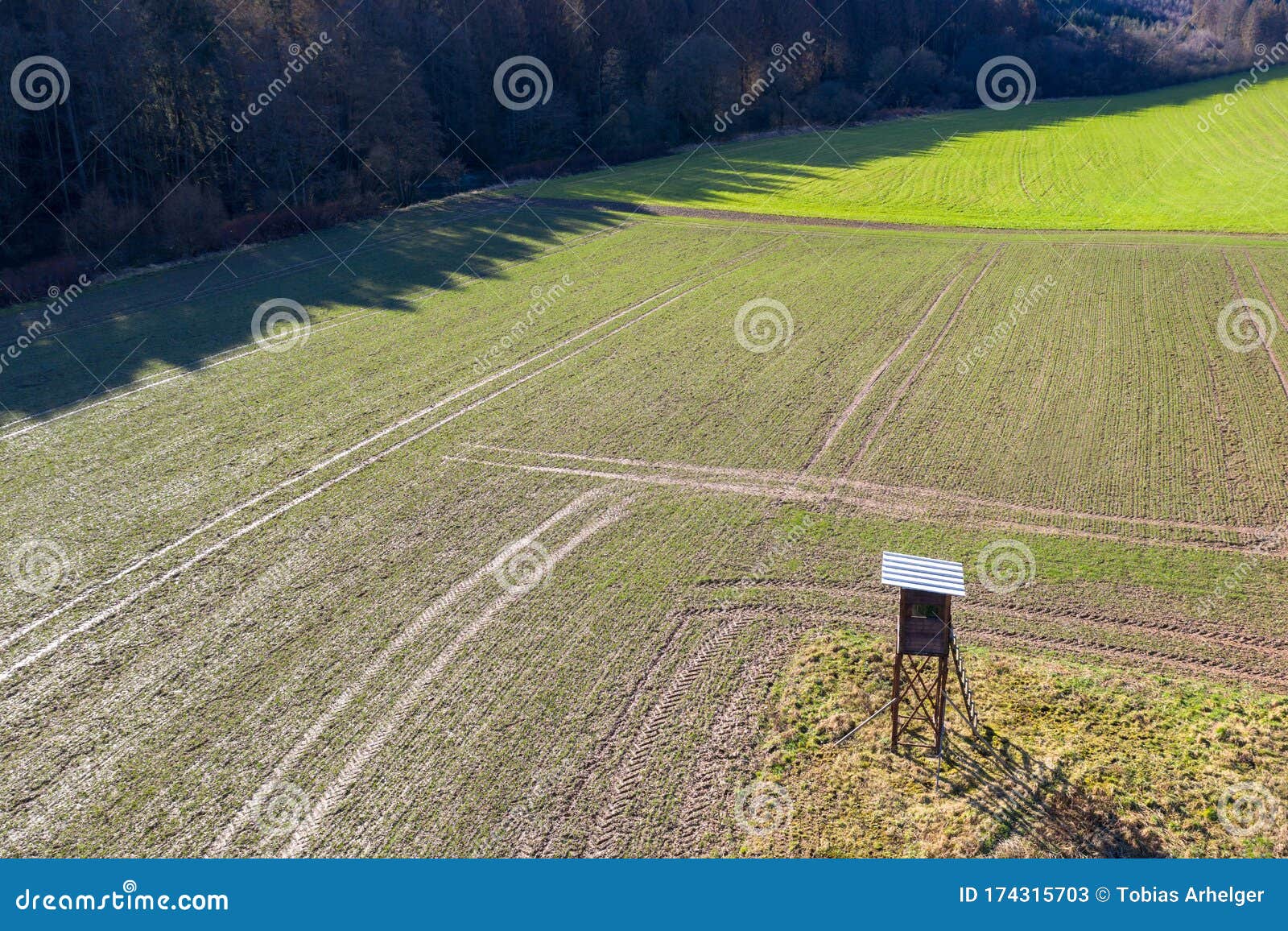 perch on faming ground from above