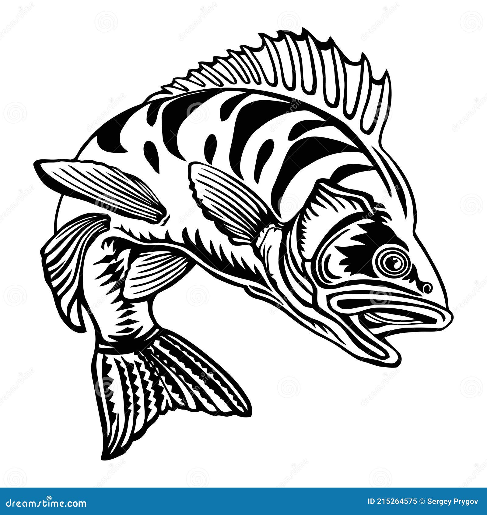 Perch Fish - Fishing Logo - SVG, perch fish logo