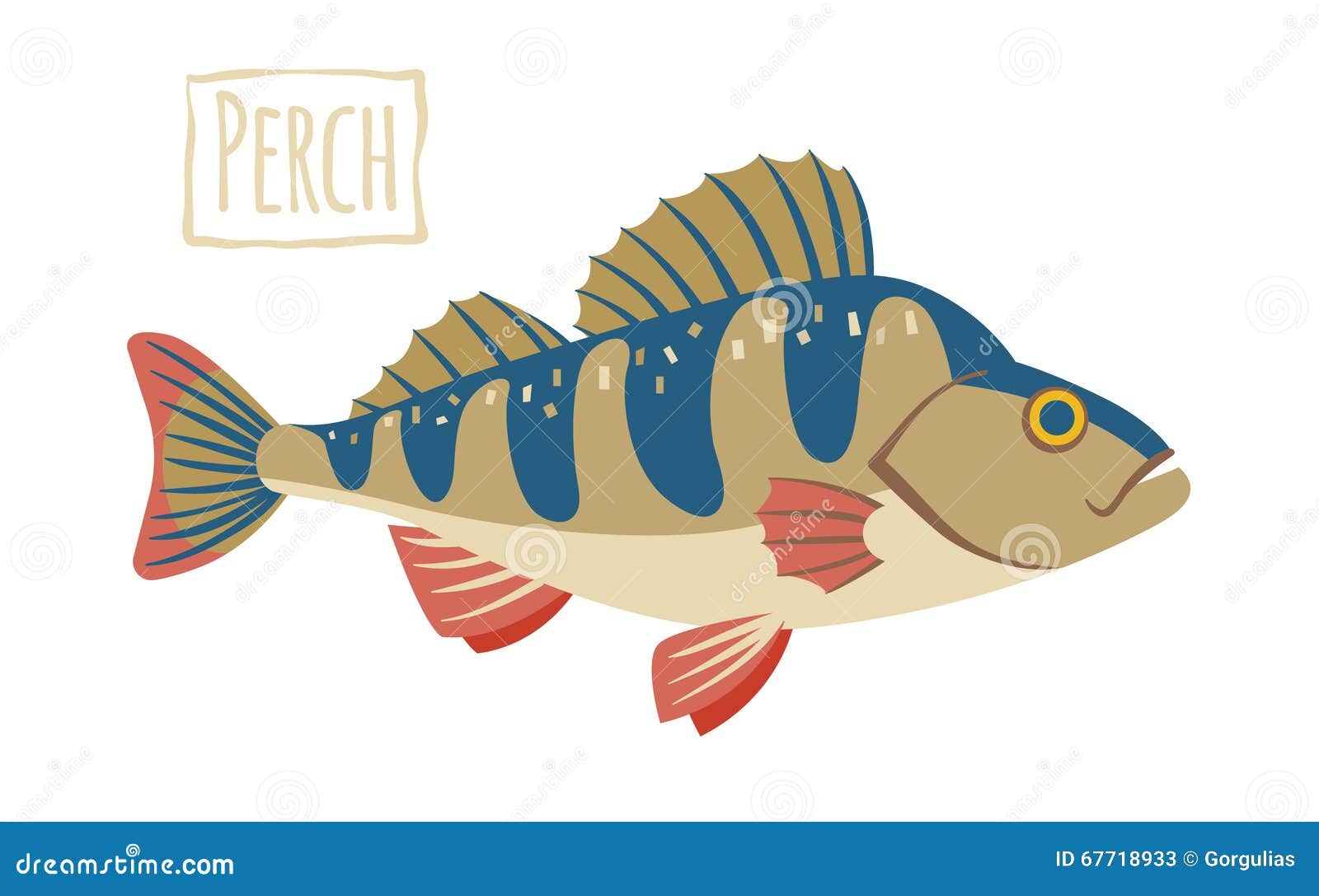 Perch, Vector Cartoon Illustration Stock Vector Illustration of