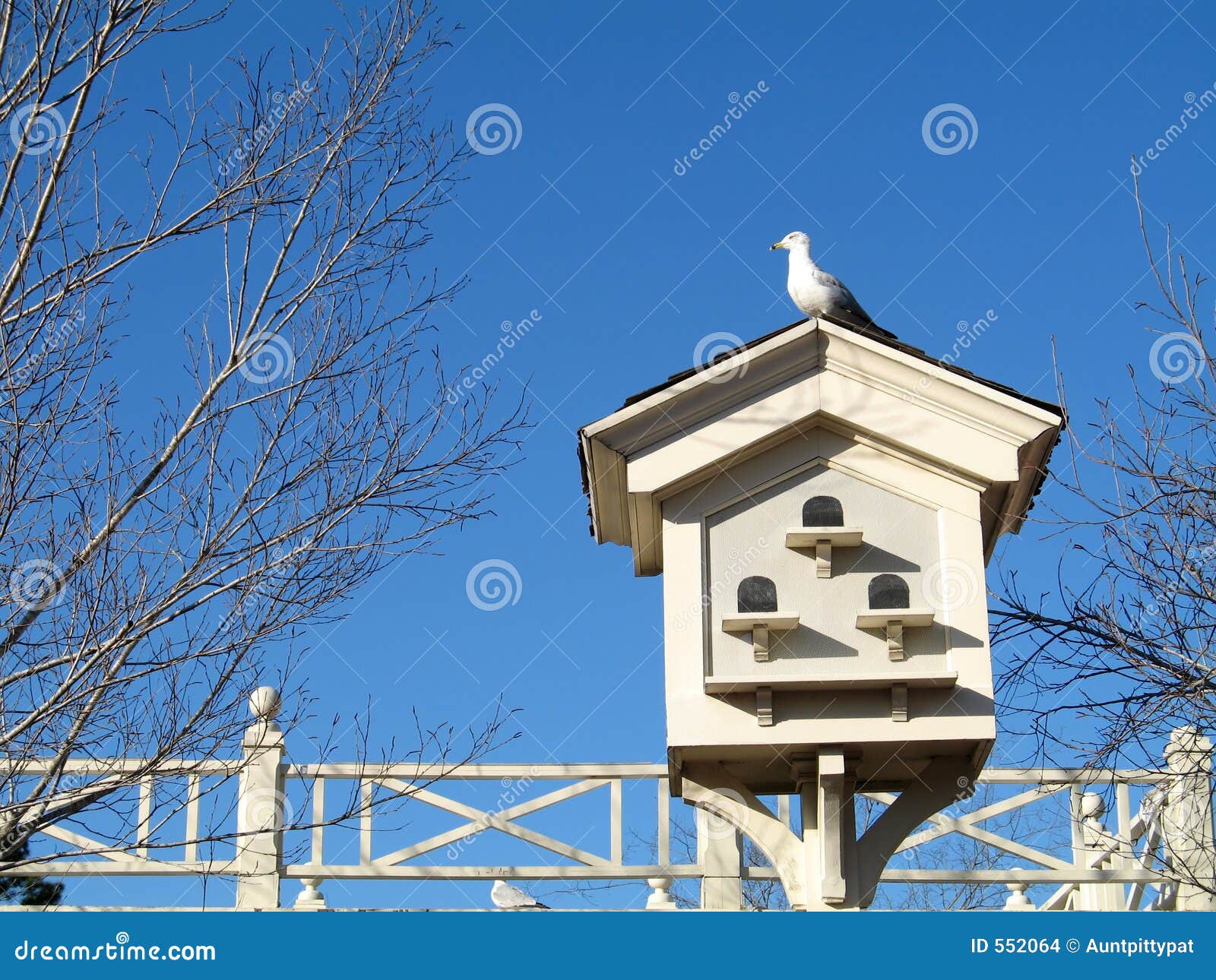 Perched on a Birdhouse stock photo. Image of rest, feather 552064