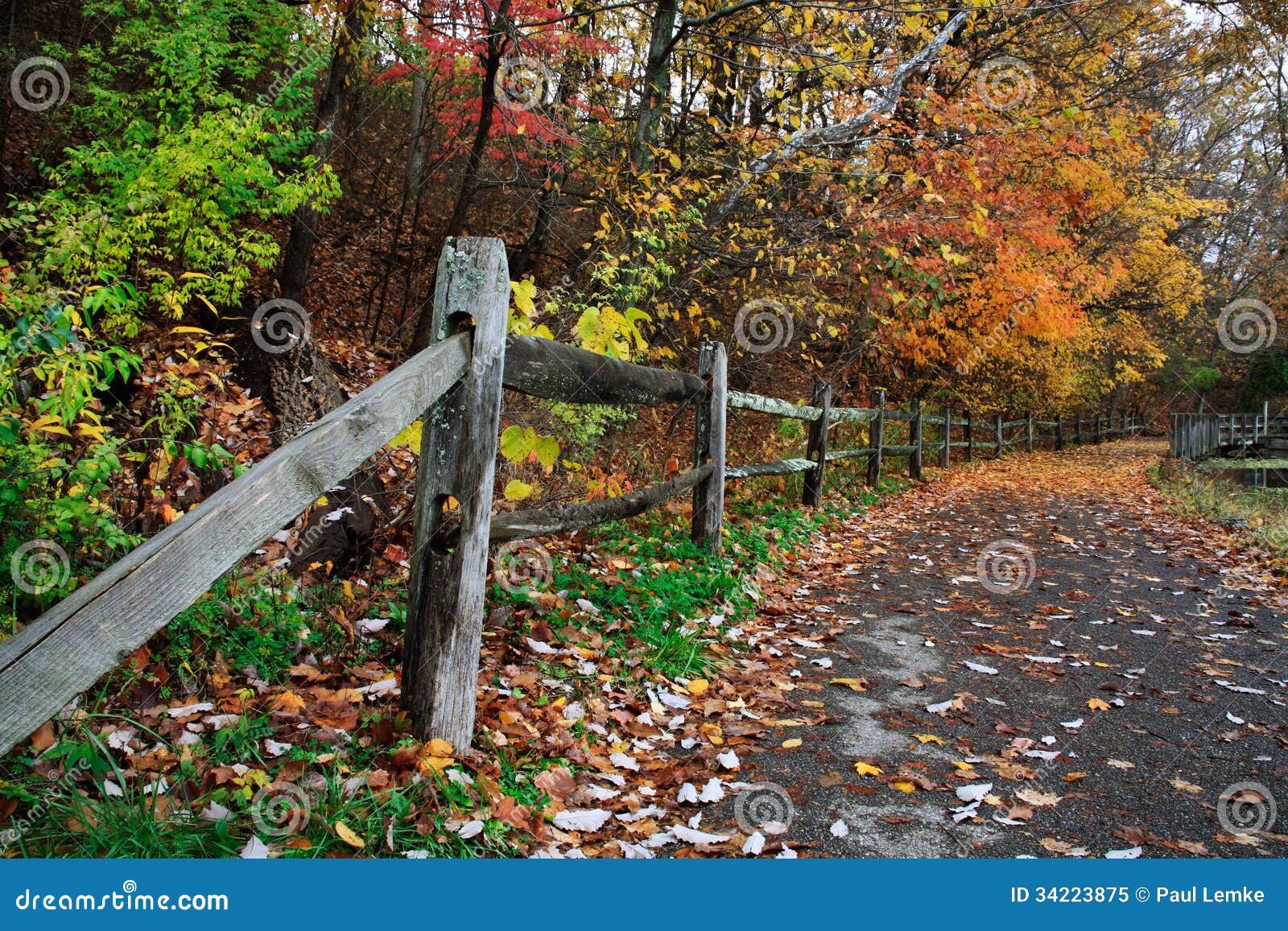 Percorso in autunno. Alberi variopinti sopra il percorso di camminata di A ed il recinto During Autumn At Sharon Woods In Ohio sudoccidentale, U.S.A.