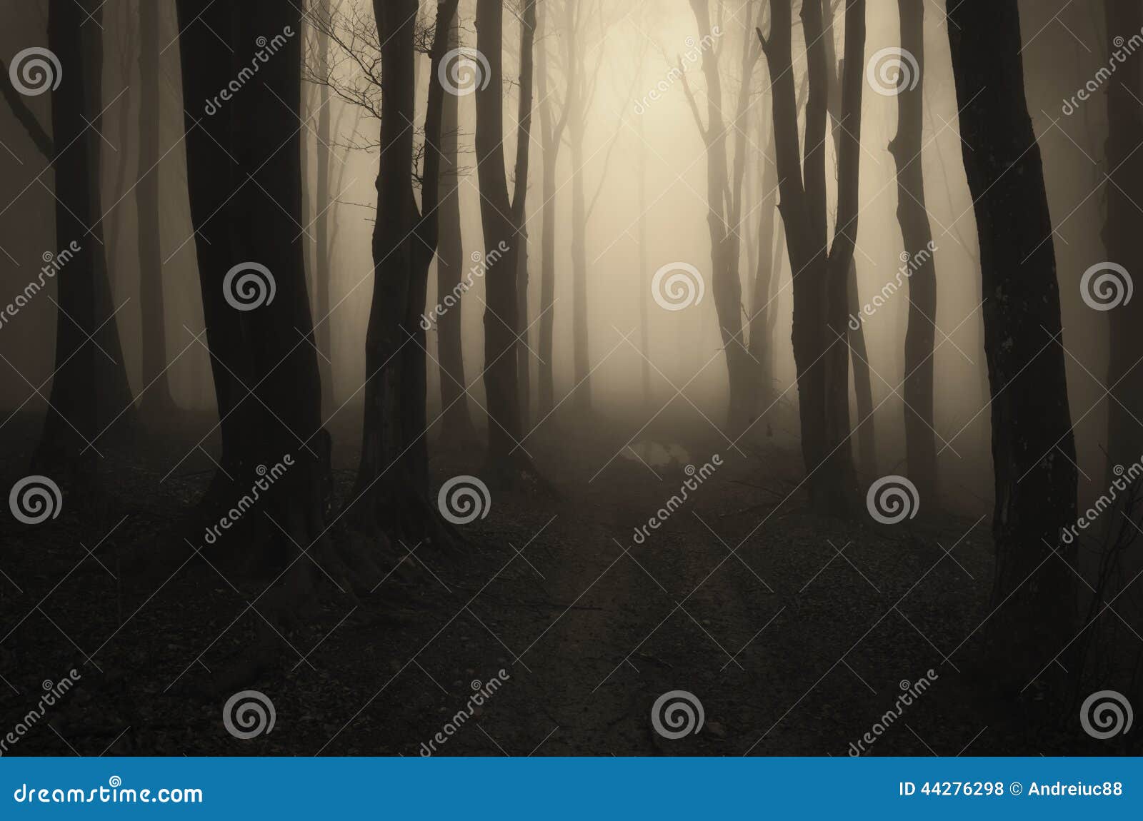 Percorso In Una Foresta Misteriosa Scura Con Nebbia Fotografia Stock