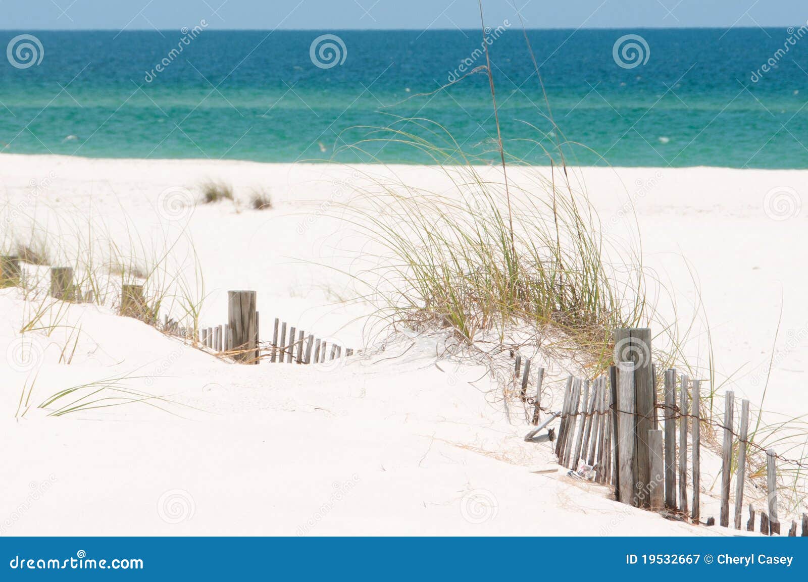 perdido key sand dune
