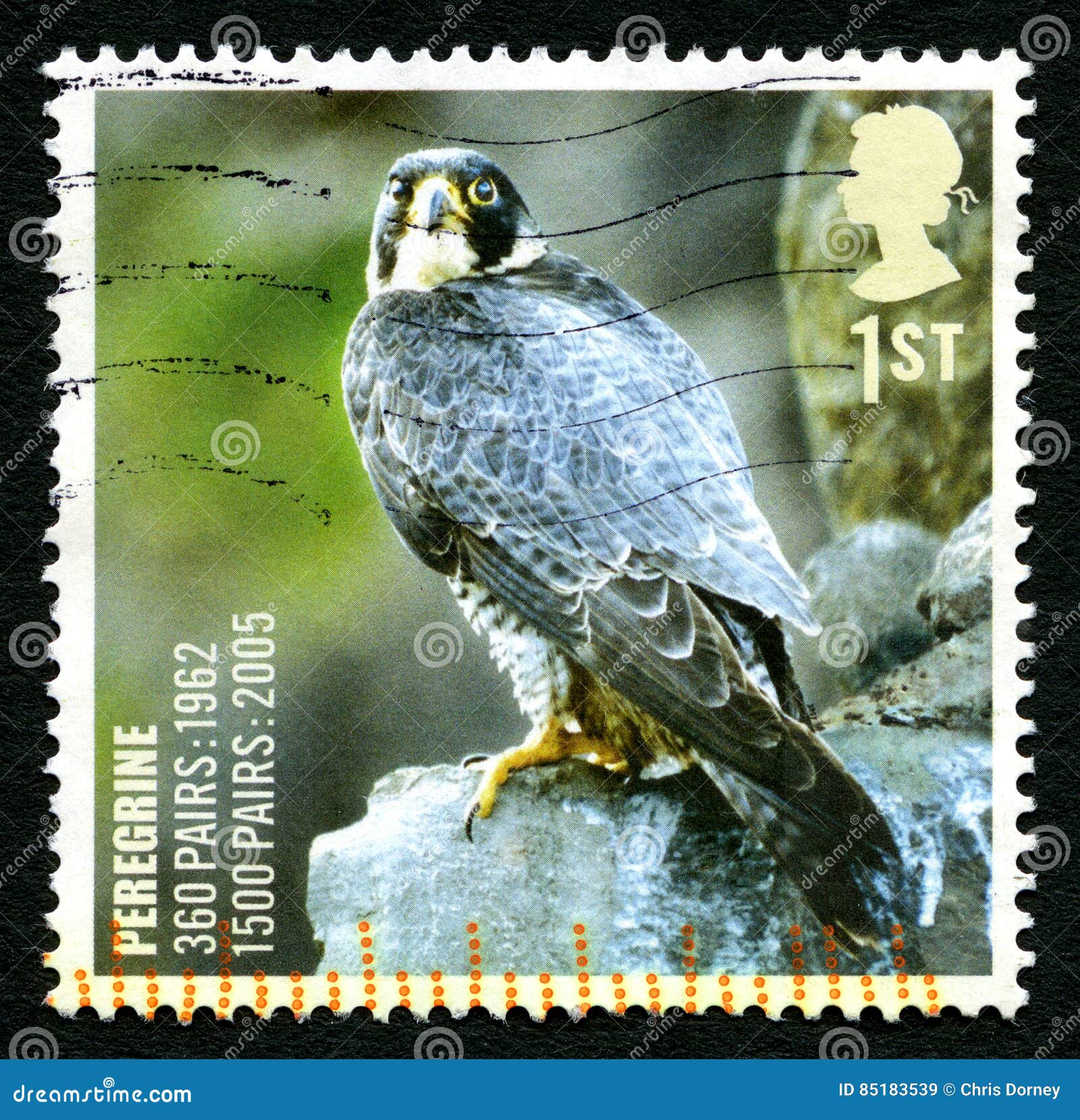 Stamp ** Unhinged 1112 Jaktfalk Faucon Falcon Halcon 1981 Booklet Yvert C1112 