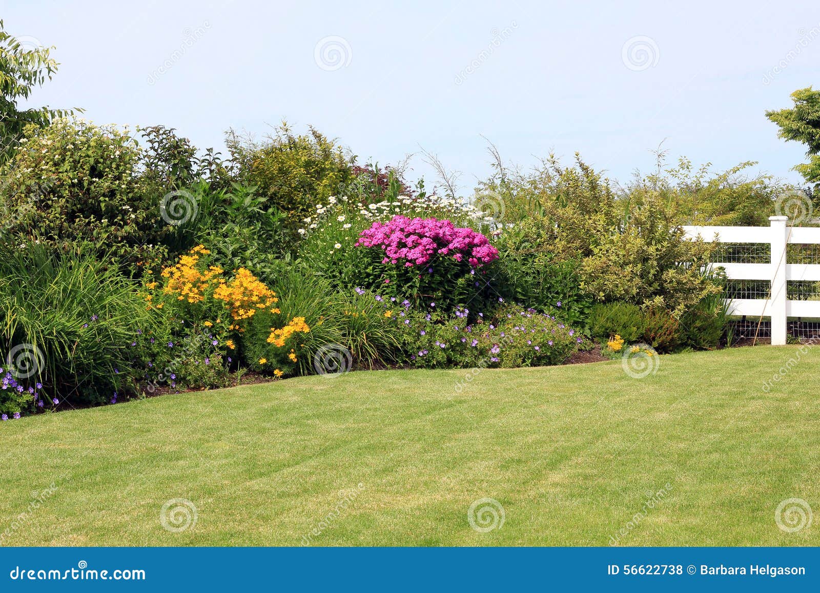 perennial garden