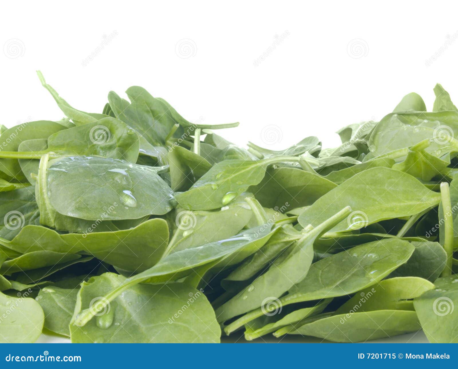 Perfect Baby Spinach Greens Stock Image Image of salad, uncooked 7201715
