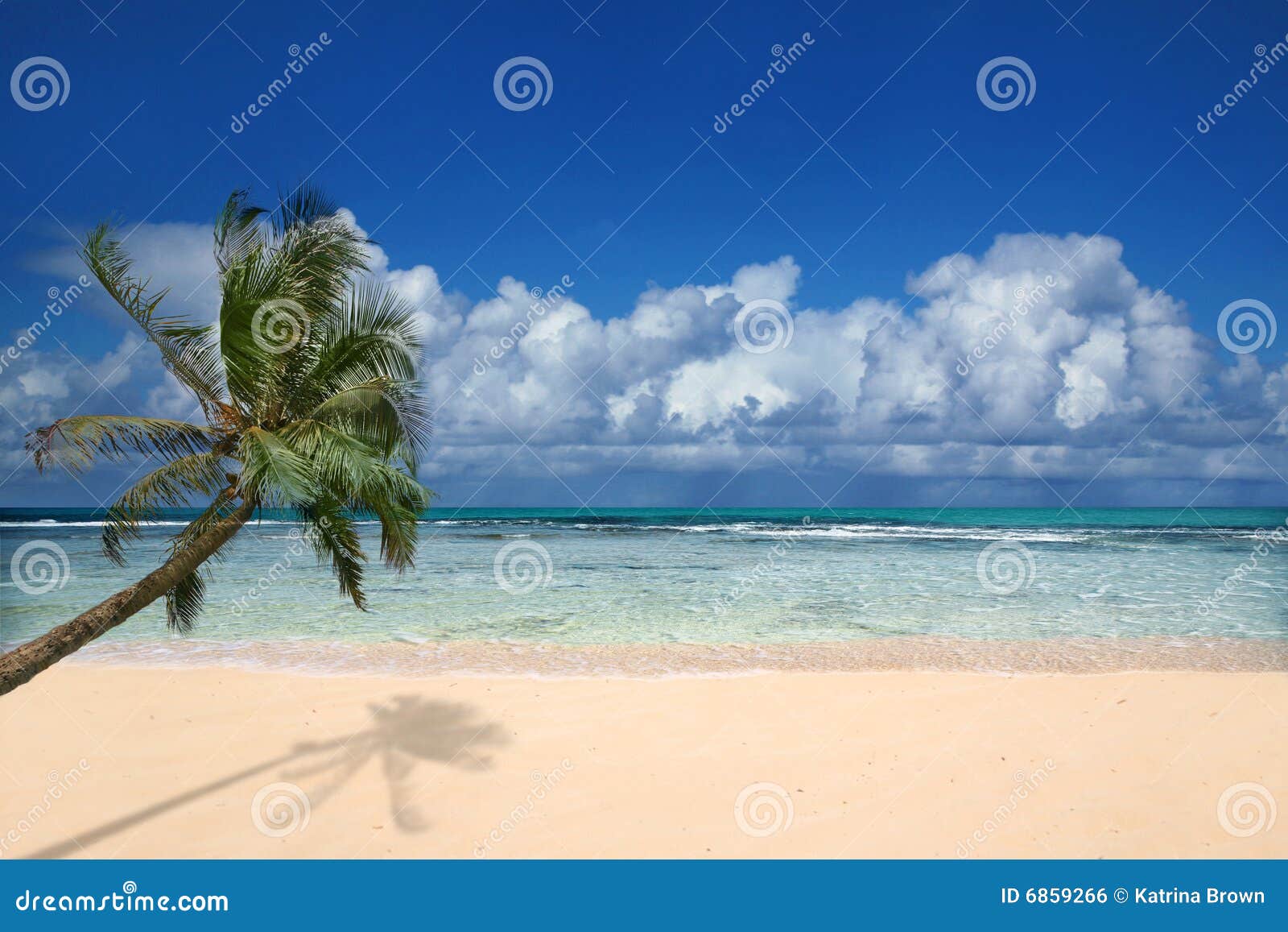 Perfect Beach in Hawaii stock photo. Image of palm, coast - 6859266