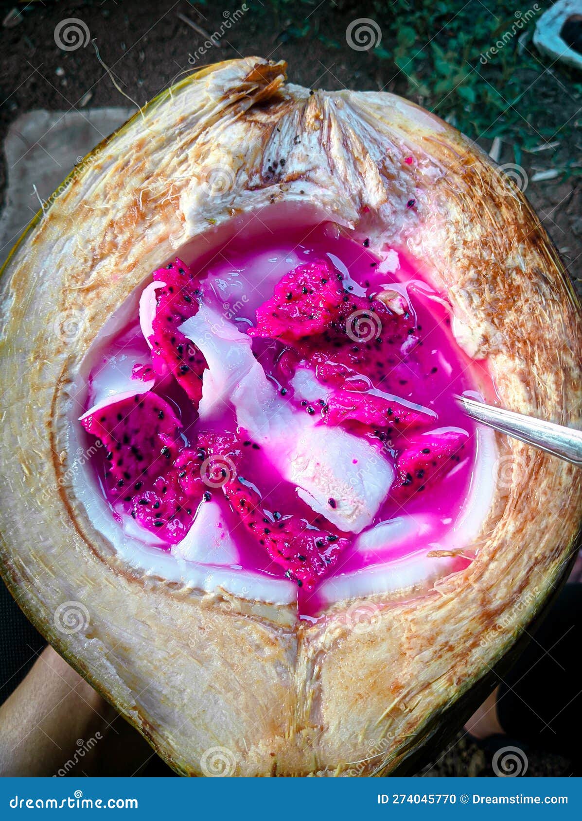 A Perfect Combination of Young Coconut and Dragon Fruit Stock Photo