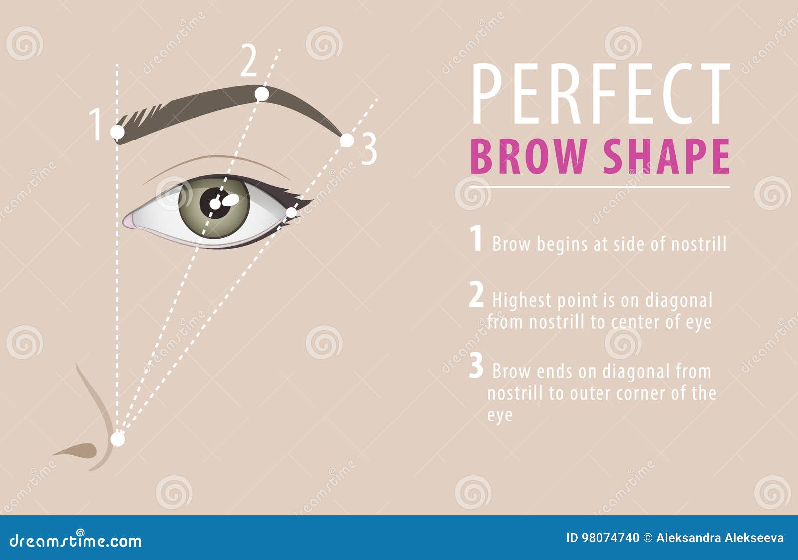 perfect eyebrow  tutorial.  template