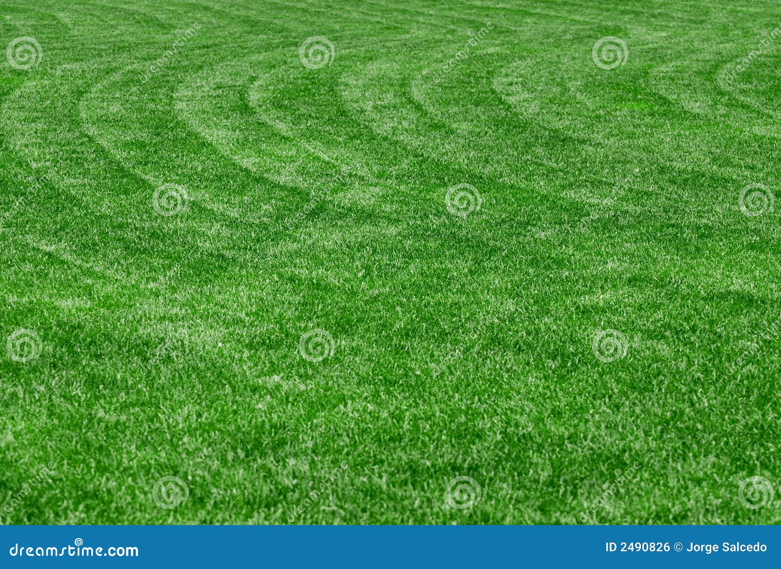 perfect lawn