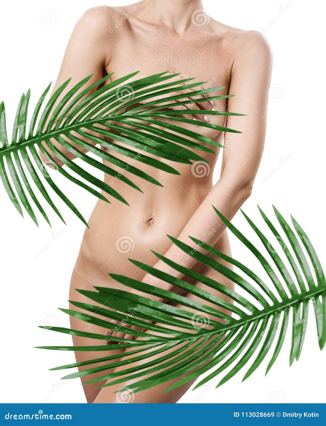 perfect-naked-female-body-covered-palm-leaves-perfect-naked-female-body-covered-palm-leaves-over-white-background-113028669.jpg