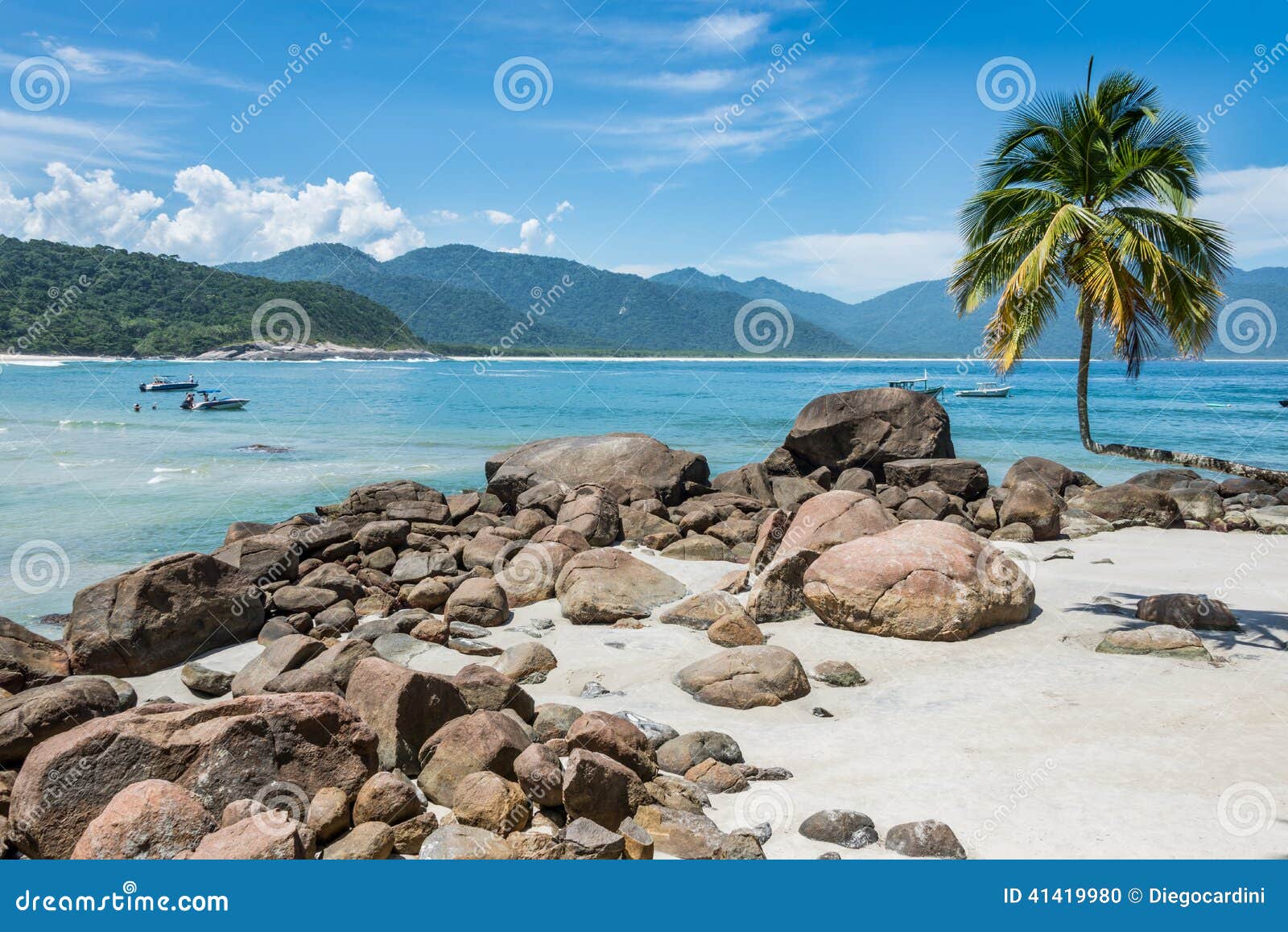 perfect one palm tree beach, ilha grande island. tropical paradise rio do janeiro. brazil.