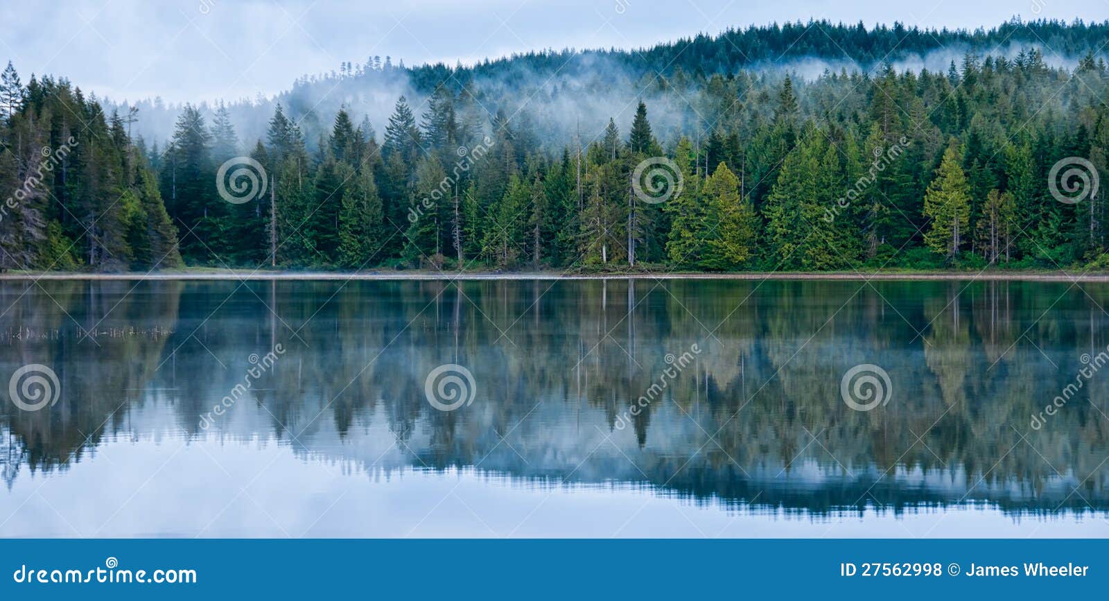 Perfect Reflection of Misty Forest in Lake Stock Photo - Image of blue,  haze: 27562998