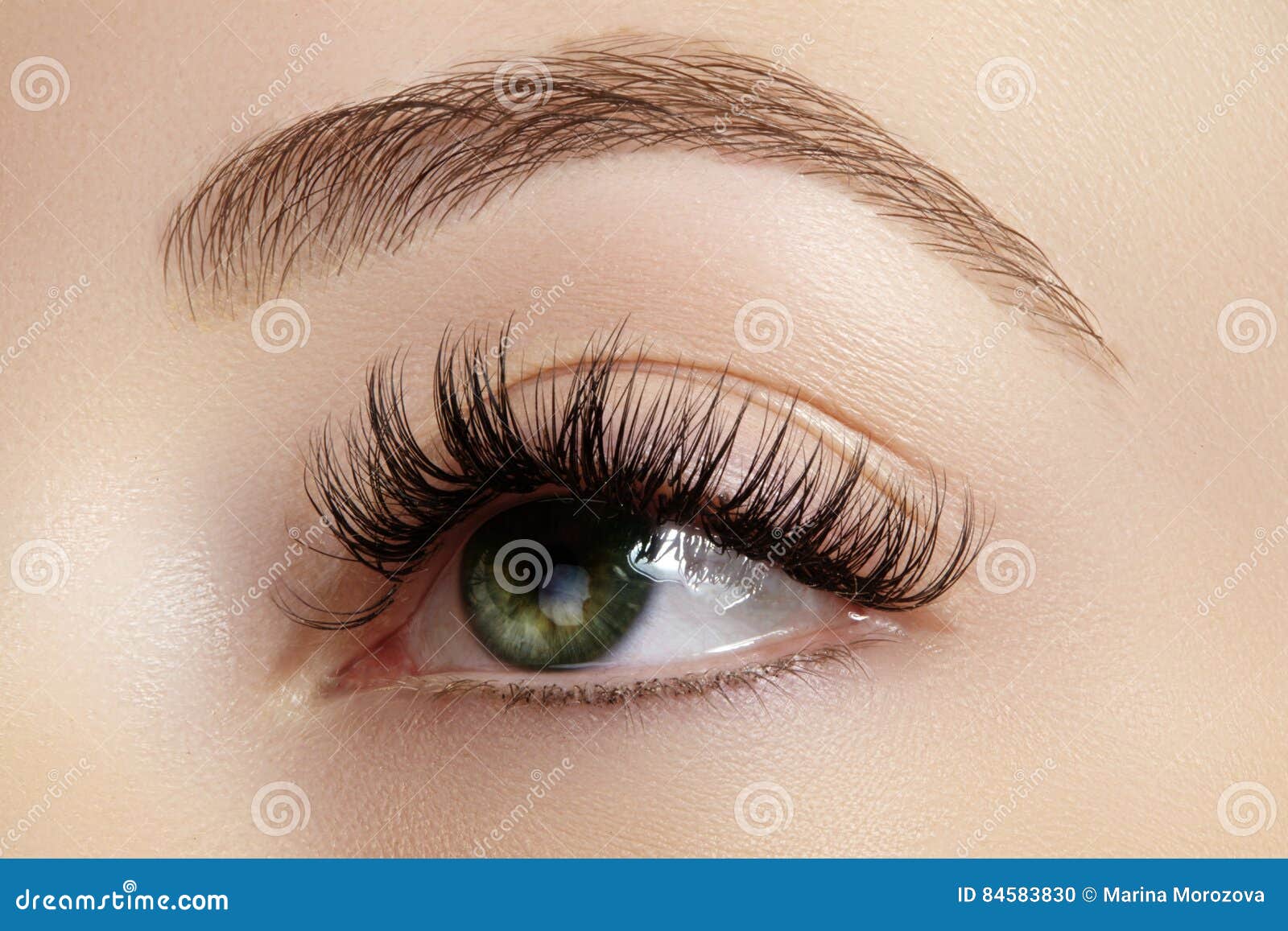 perfect  of eyebrows, brown eyeshadows and long eyelashes. closeup macro shot of fashion smoky eyes visage