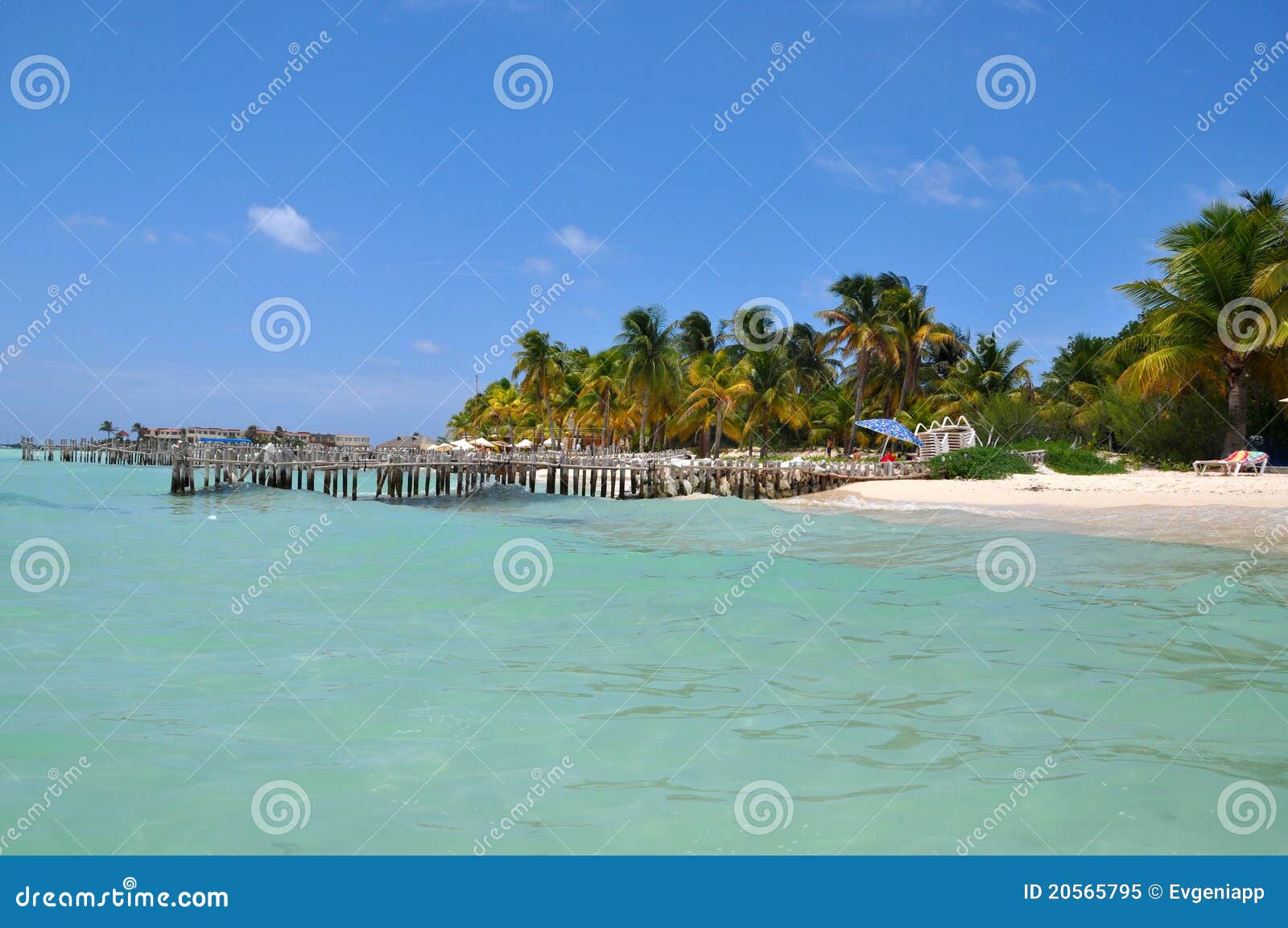 perfect tropical beach in isla mujeres