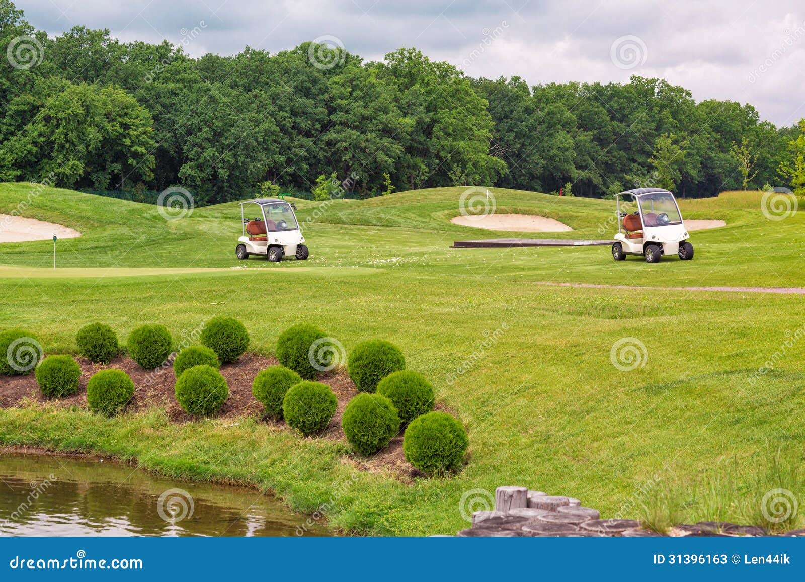 Perfect Wavy Grass On A Golf Field Stock Image Perfect Wavy Grass On A Golf Field Stock Image