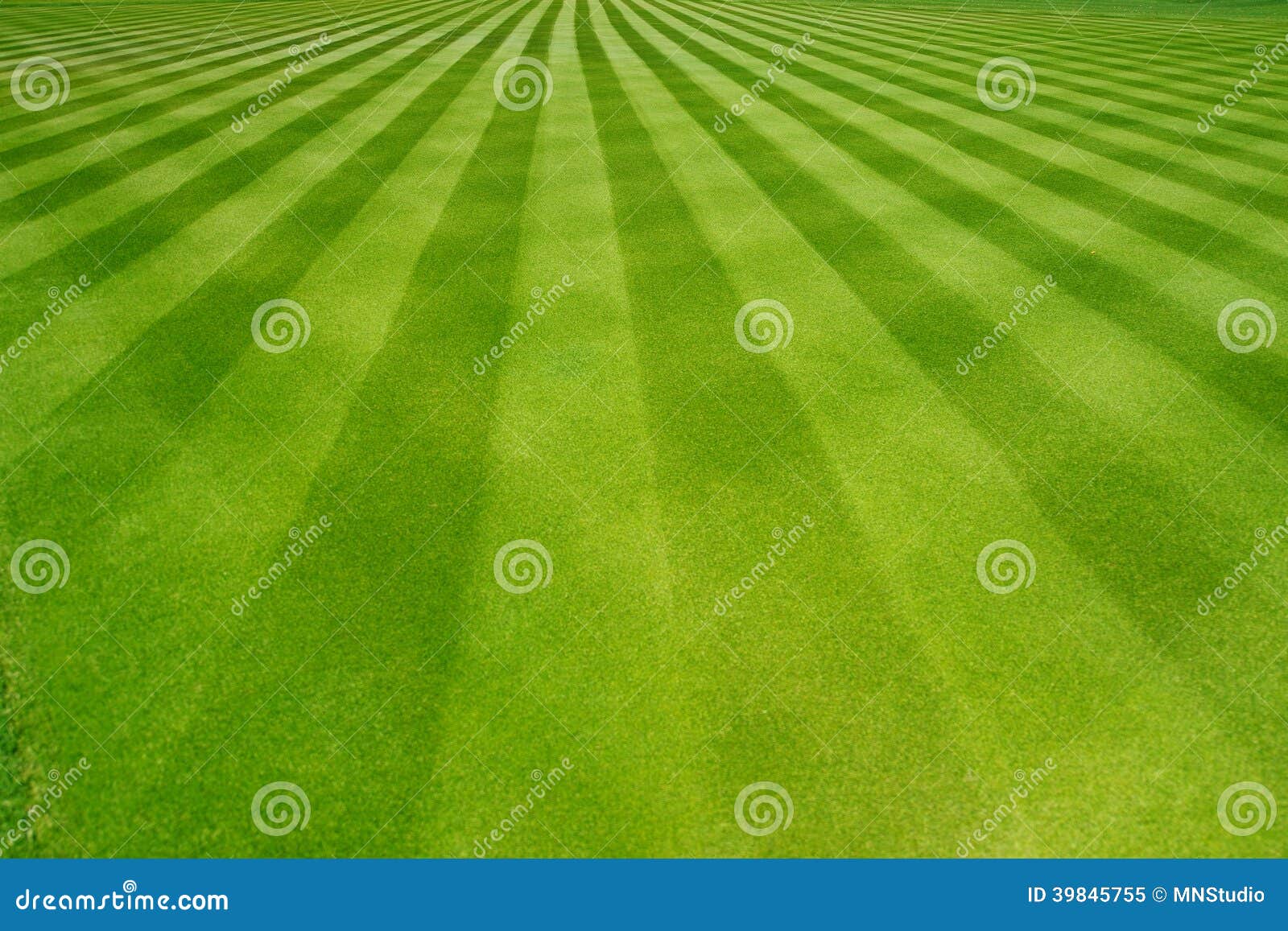 perfectly striped freshly mowed garden lawn