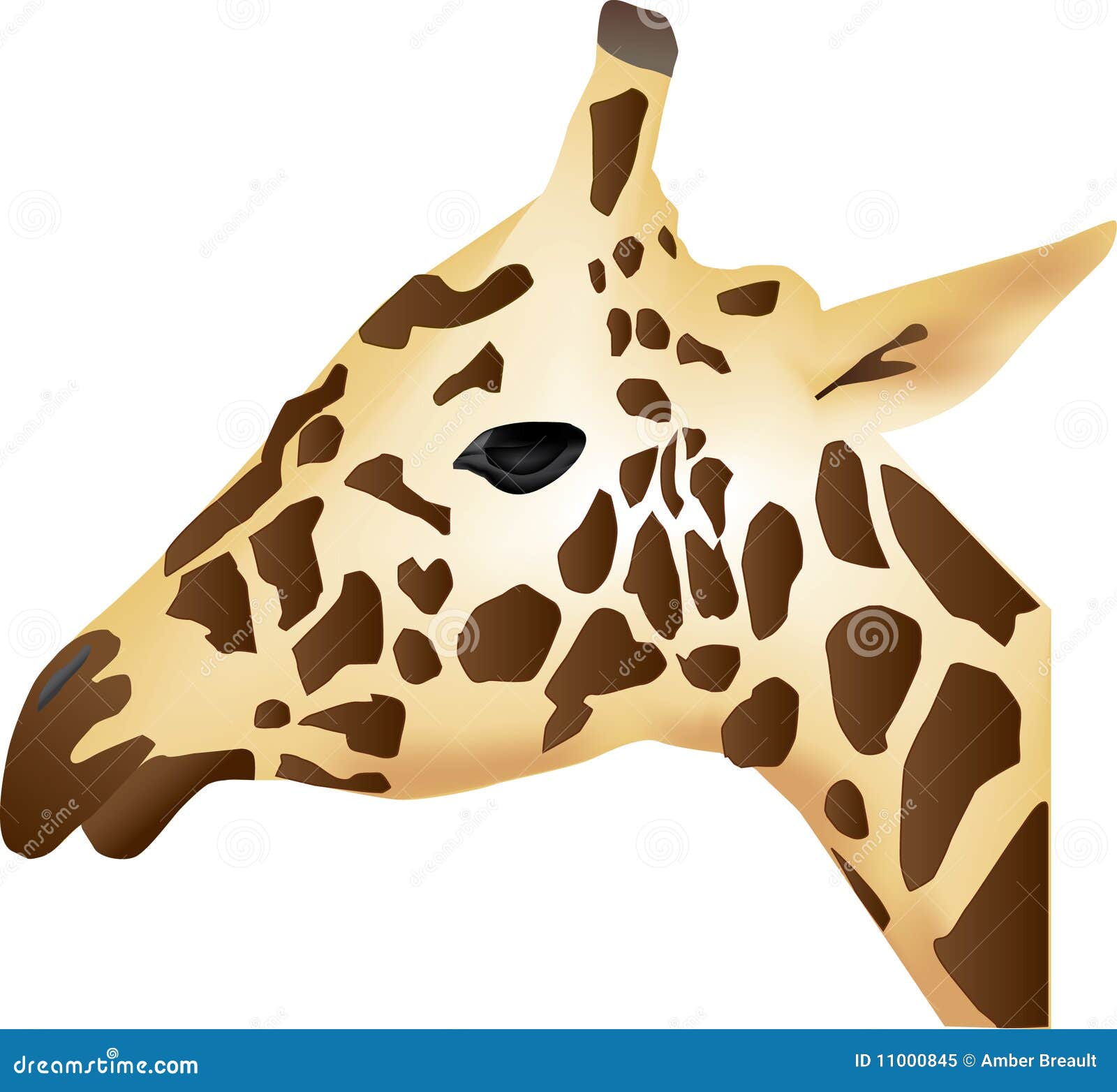 Perfil de Girafa ilustração do vetor. Ilustração de perfil - 11000845, image size:1600x1564