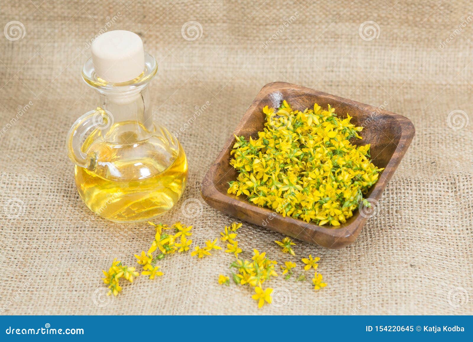 perforate st john`s-wort is very rare and healthy plant